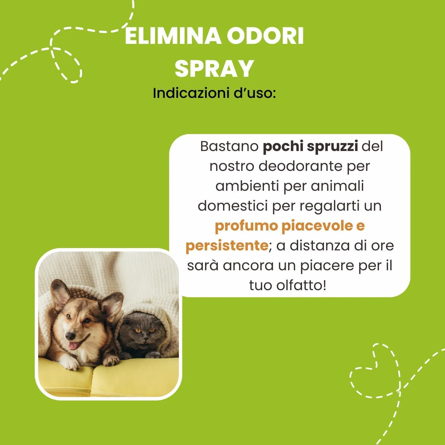 Italian Pet Elimina Odori Naturale Spray - Disodorante Enzimatico - Neutralizza Odori Tessuti, Cucce, Gabbie, Pavimenti, Divani, Tappeti - 500ml - Flacone plastica 100% riciclata - immagine 2