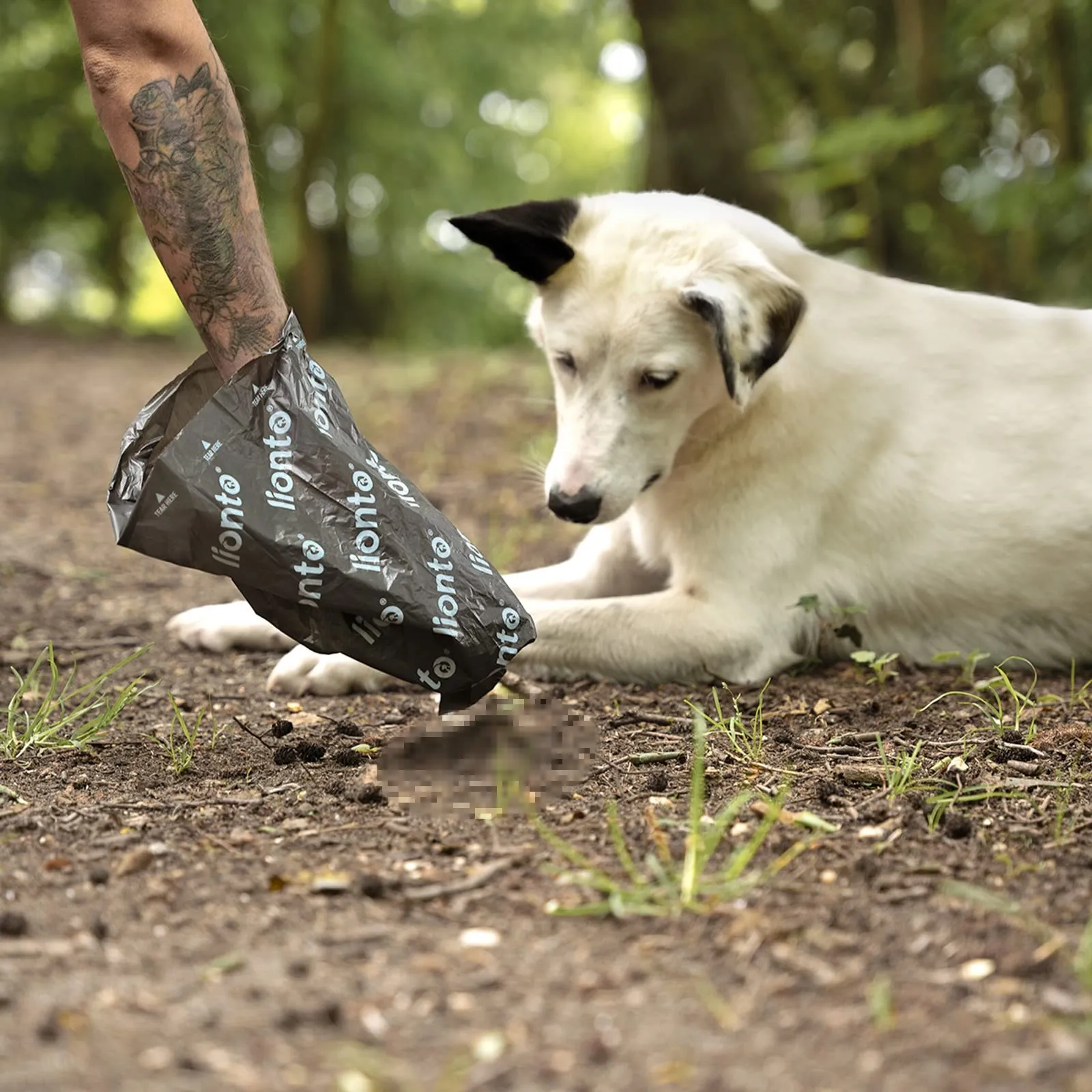 lionto Sacchetti igienici cane 600 sacchetti (40 rotoli) inodore, facili da strappare, impermeabili e extra spessi per cani e gatti, ricariche compatibili, nero/verde - immagine 2