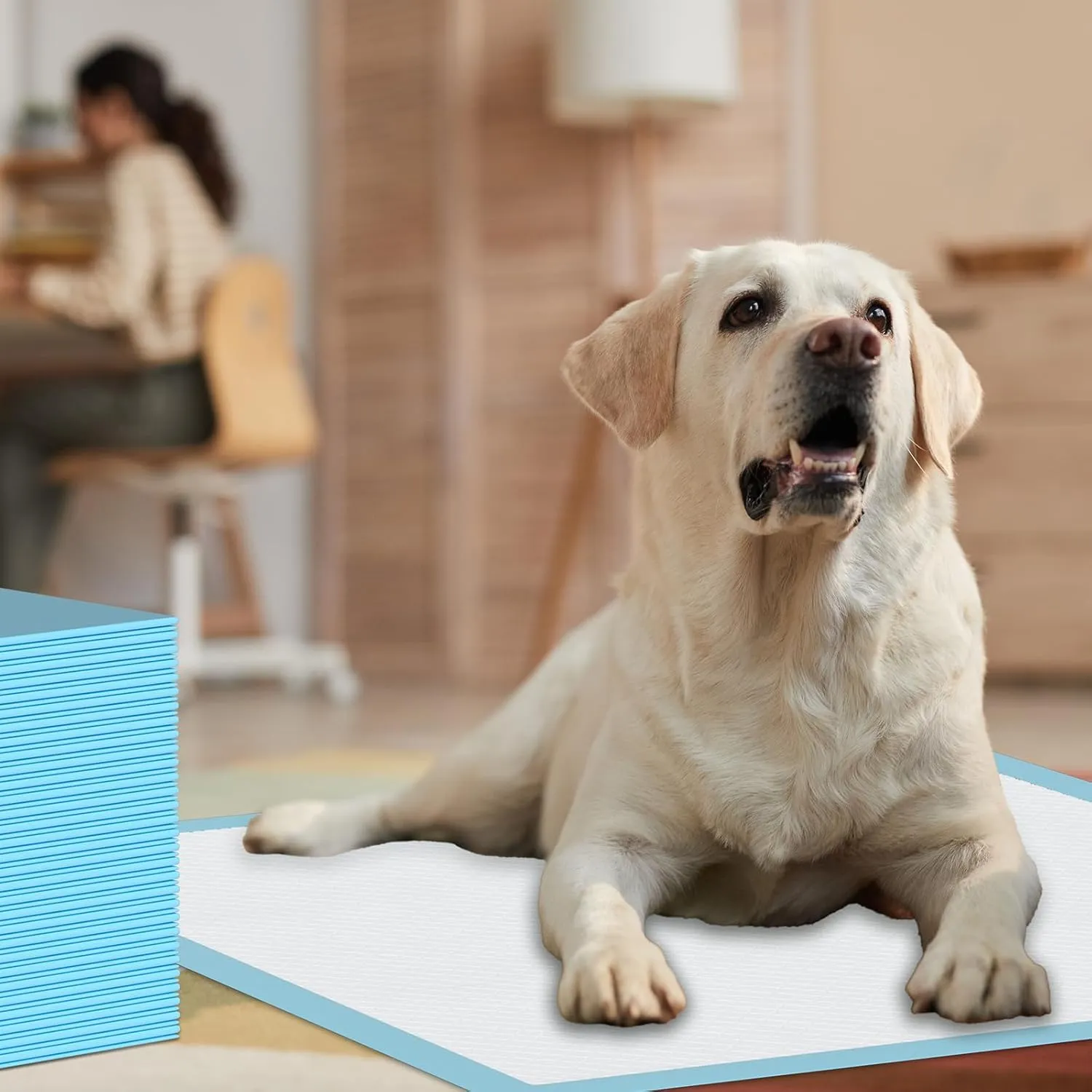 40 Pezzi Grande Tappetino Assorbente per Cani, 80x120cm Alese Usa e Getta, Alèse Pipi Tappetino Educativo per Cani di Taglia Grande, Tappetino Igienico per l'Apprendimento della Pulizia (40 Pezzi - immagine 7