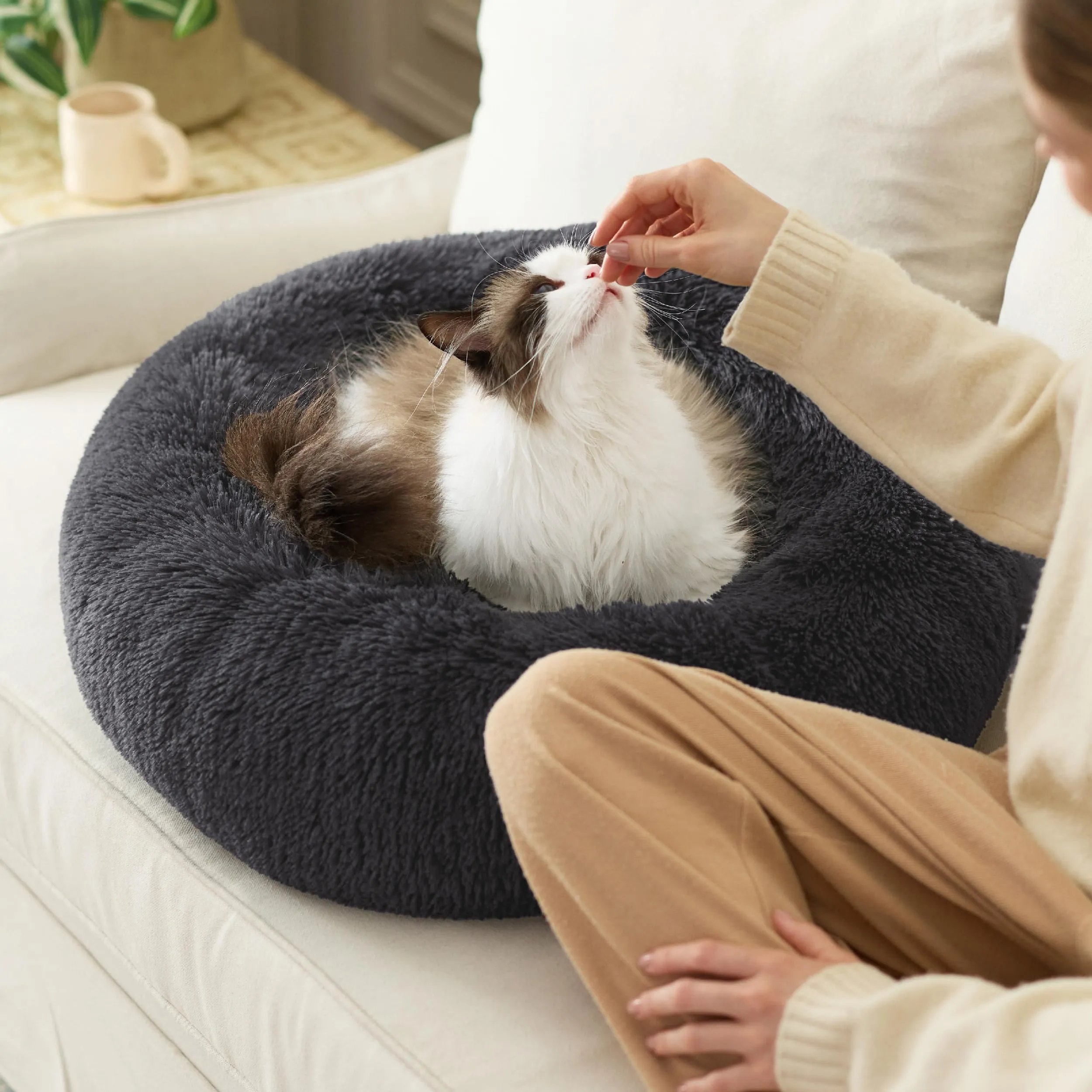 Bedsure Cuccia Gatto Morbida 50x50cm - Cuccia Pelosa per Cani Colore Grigio Scuro, Cuscino Gatto Antistresss con Peluche Lavabile, Lettino Calmante per Gatti - immagine 5