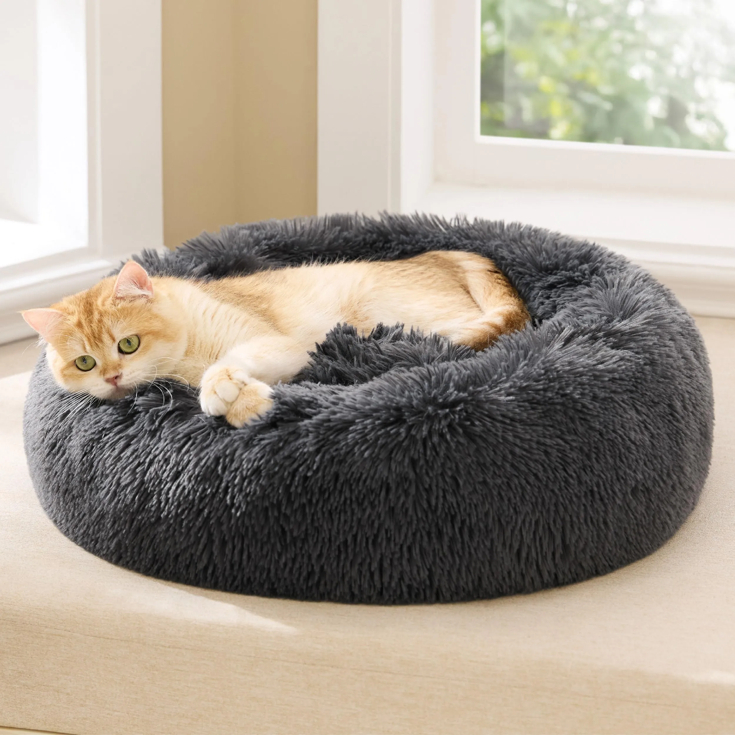 Bedsure Cuccia Gatto Morbida 50x50cm - Cuccia Pelosa per Cani Colore Grigio Scuro, Cuscino Gatto Antistresss con Peluche Lavabile, Lettino Calmante per Gatti - immagine 6