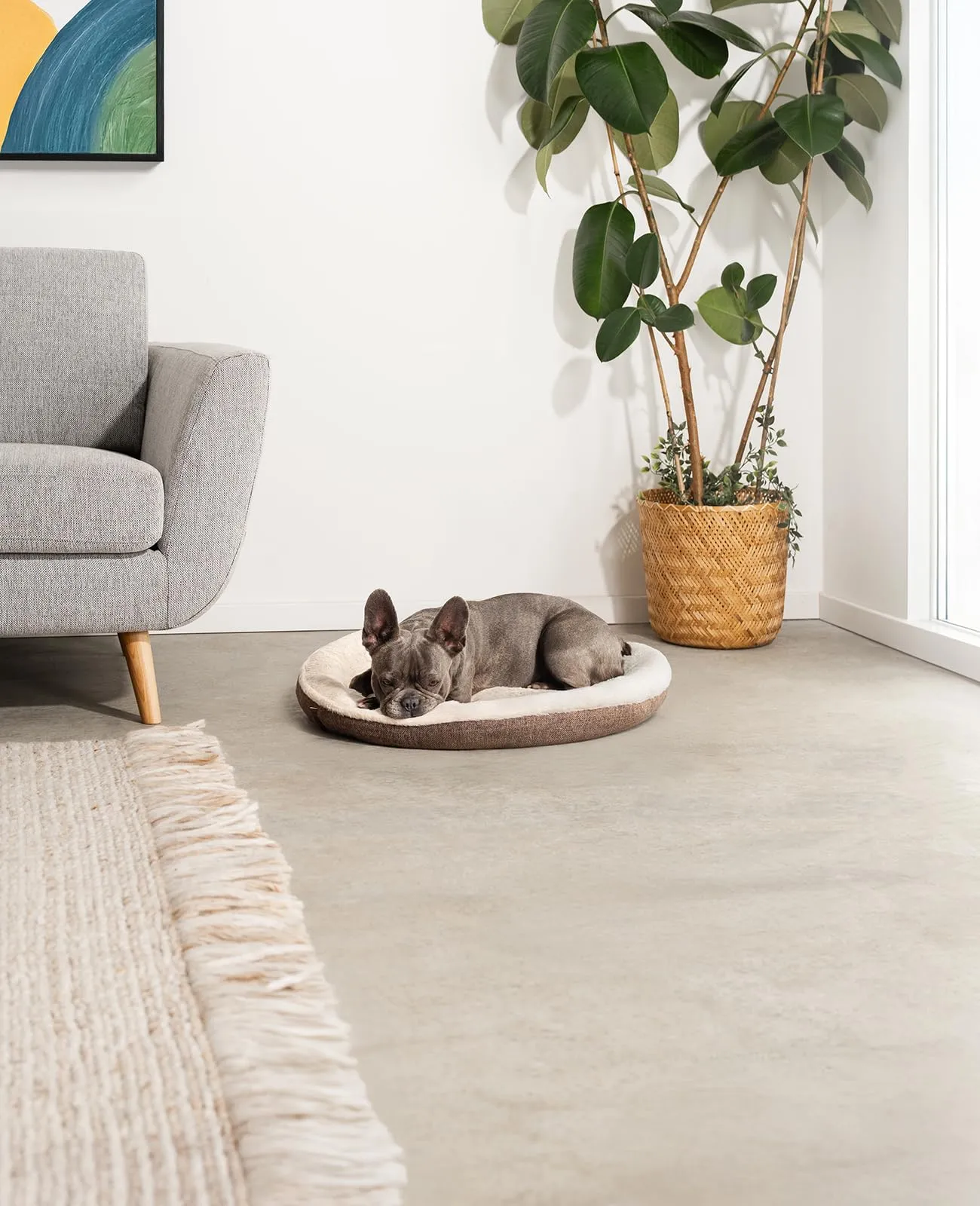 lionto Cuccia Rotonda a Ciambella, Cuscino Cane e Gatto Ø 65 cm, Marrone - immagine 2
