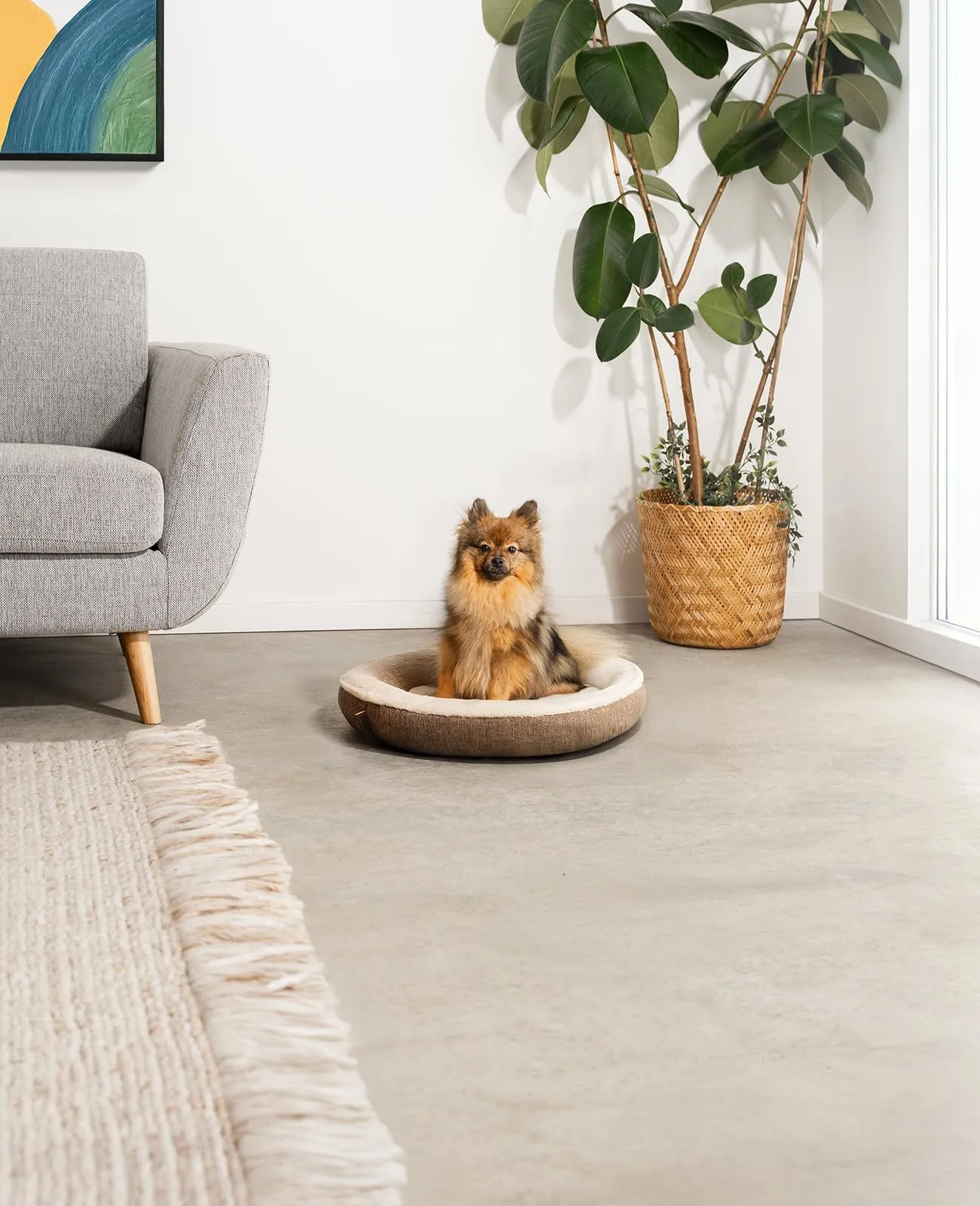 lionto Cuccia Rotonda a Ciambella, Cuscino Cane e Gatto Ø 55 cm, Marrone - immagine 2