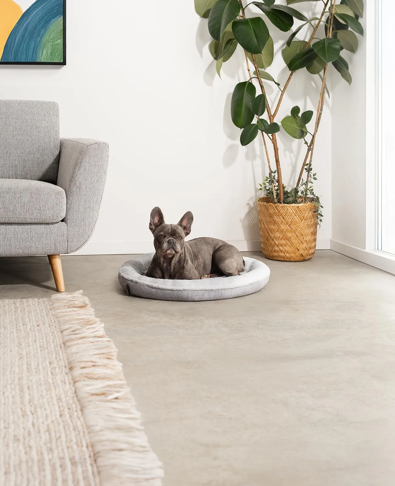 lionto Cuccia Rotonda a Ciambella, Cuscino Cane e Gatto, Ø 65 cm, Grigio - immagine 2