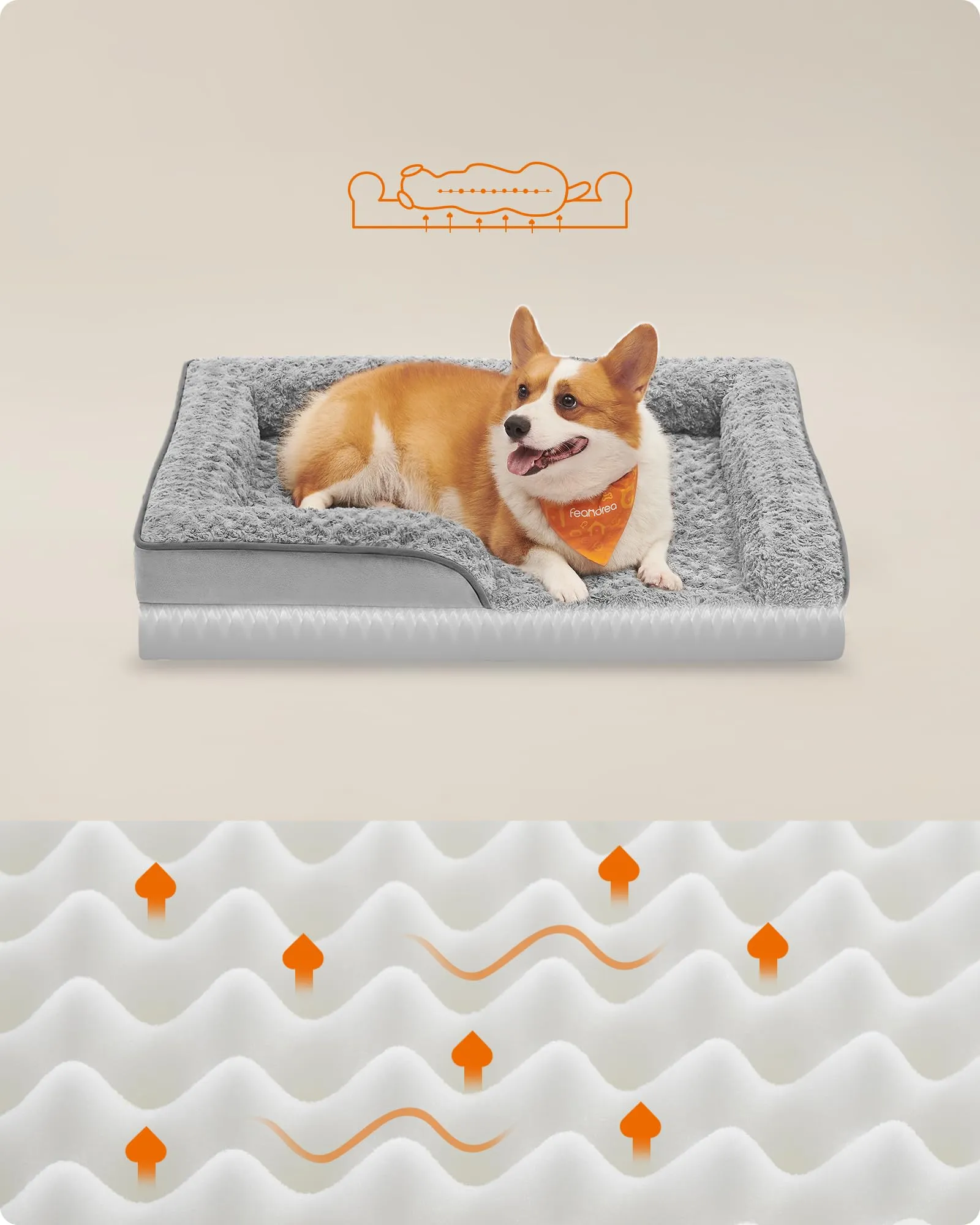 Feandrea Cuccia Cane Interno, Cuccia per Cani, Lettino per Animali, Ortopedico con Gommapiuma Ondulata, Bordi Rialzati, Copertura di Peluche Sfoderabile, 91 x 68 x 16 cm, Grigio Tortora PGW252G01 - immagine 3