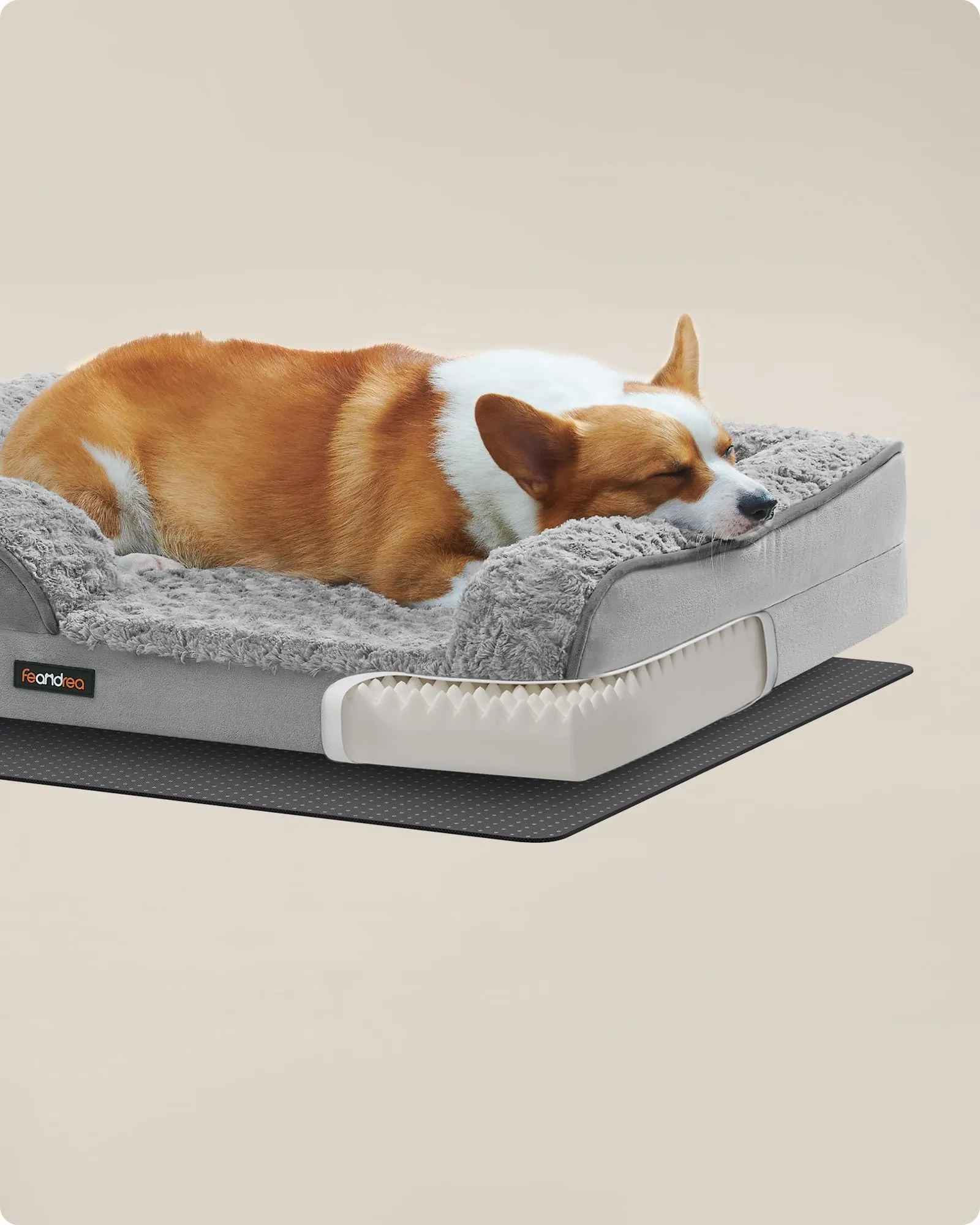 Feandrea Cuccia Cane Interno, Cuccia per Cani, Lettino per Animali, Ortopedico con Gommapiuma Ondulata, Bordi Rialzati, Copertura di Peluche Sfoderabile, 91 x 68 x 16 cm, Grigio Tortora PGW252G01 - immagine 6