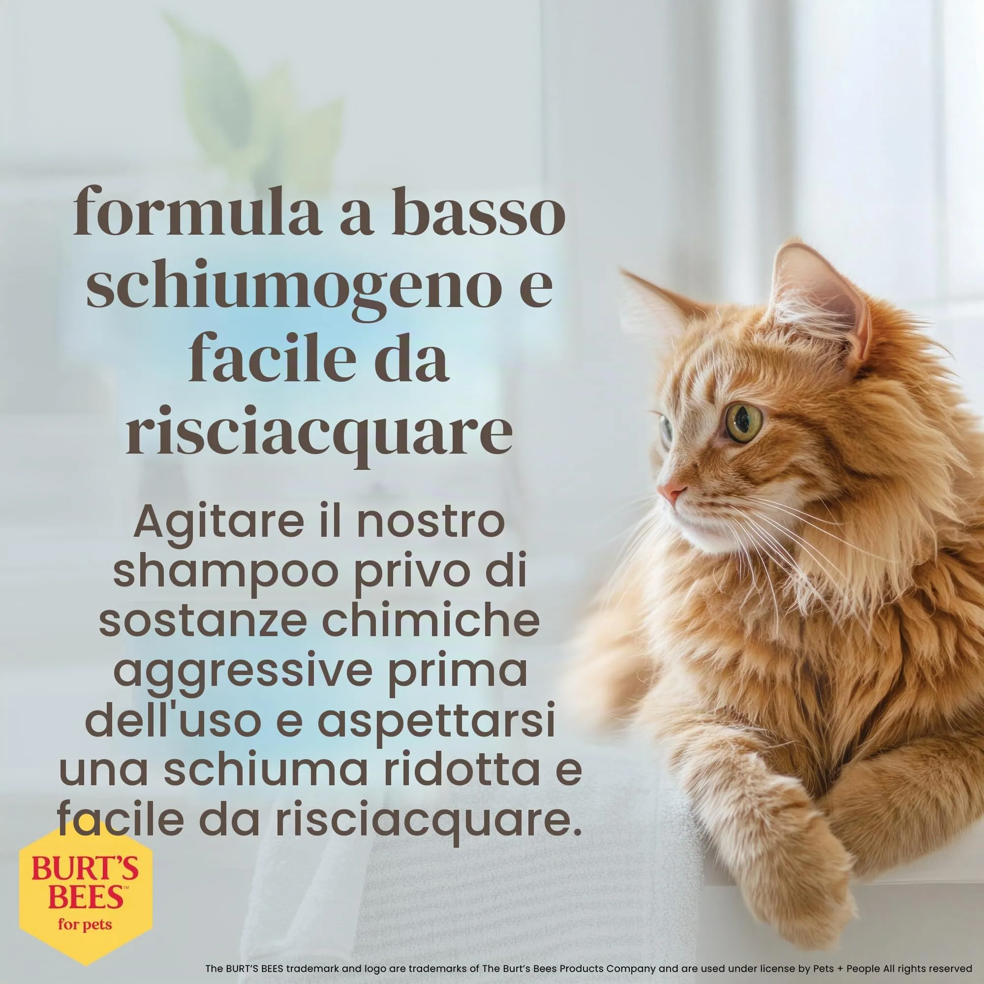 Burt's Bees - Sciampo Hypoallergenic per il burro & il miele del karitè dei gatti - 10 Florida. oncia. - immagine 4