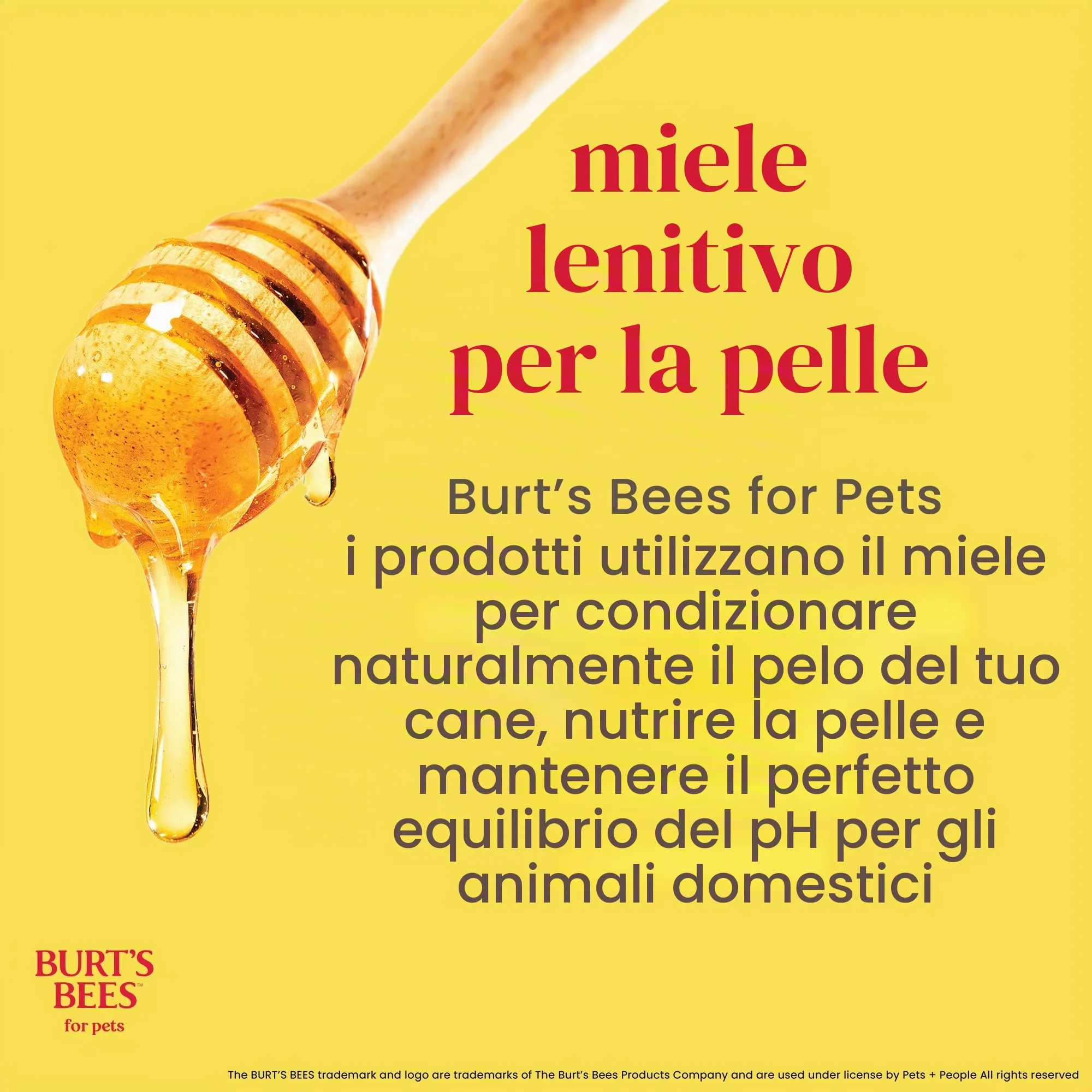 Burt's Bees - Sciampo Hypoallergenic per il burro & il miele del karitè dei gatti - 10 Florida. oncia. - immagine 6