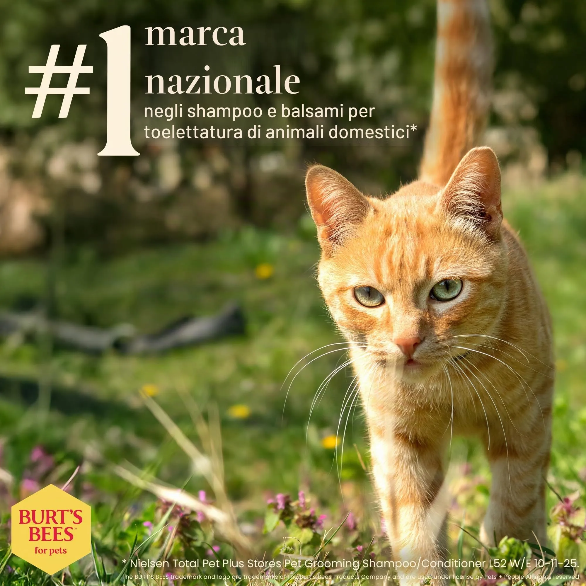 Burt's Bees - Sciampo Hypoallergenic per il burro & il miele del karitè dei gatti - 10 Florida. oncia. - immagine 7