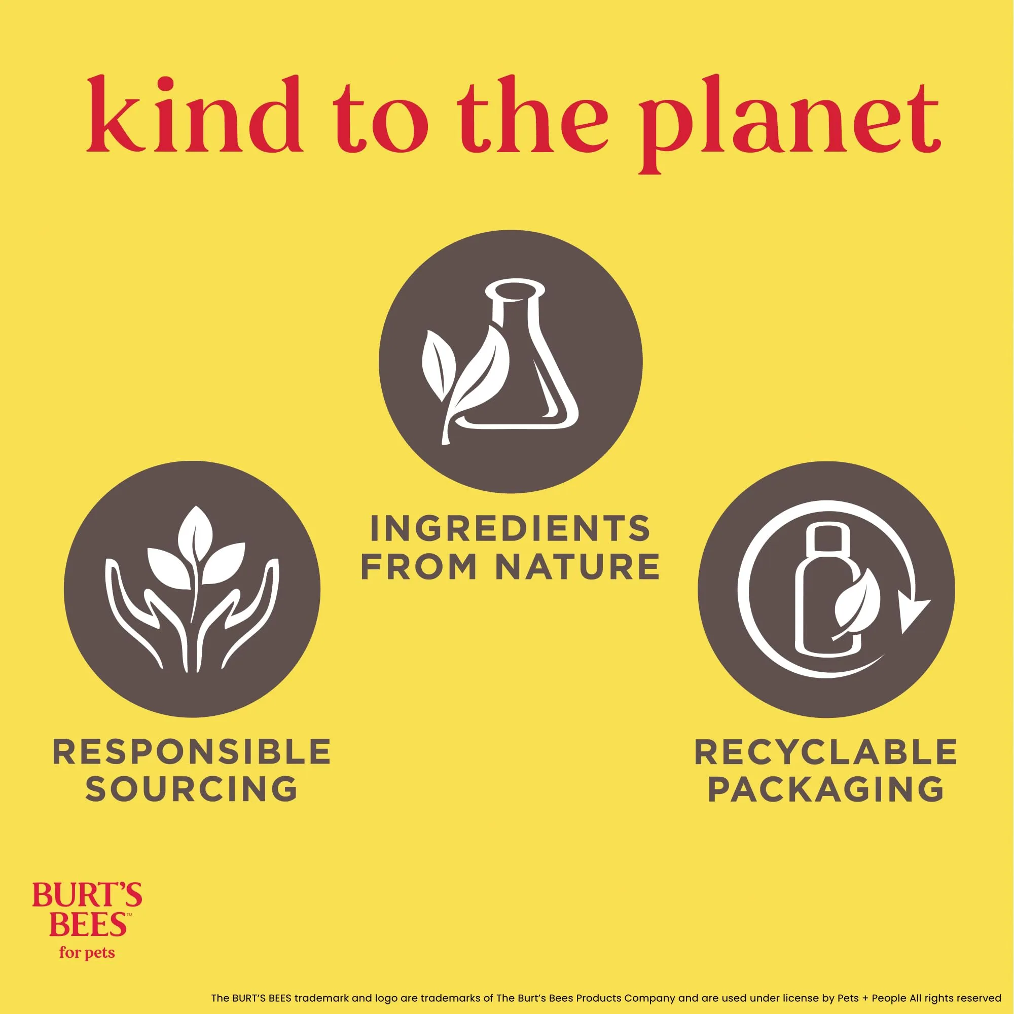 Burt's Bees - Sciampo Hypoallergenic per il burro & il miele del karitè dei gatti - 10 Florida. oncia. - immagine 8