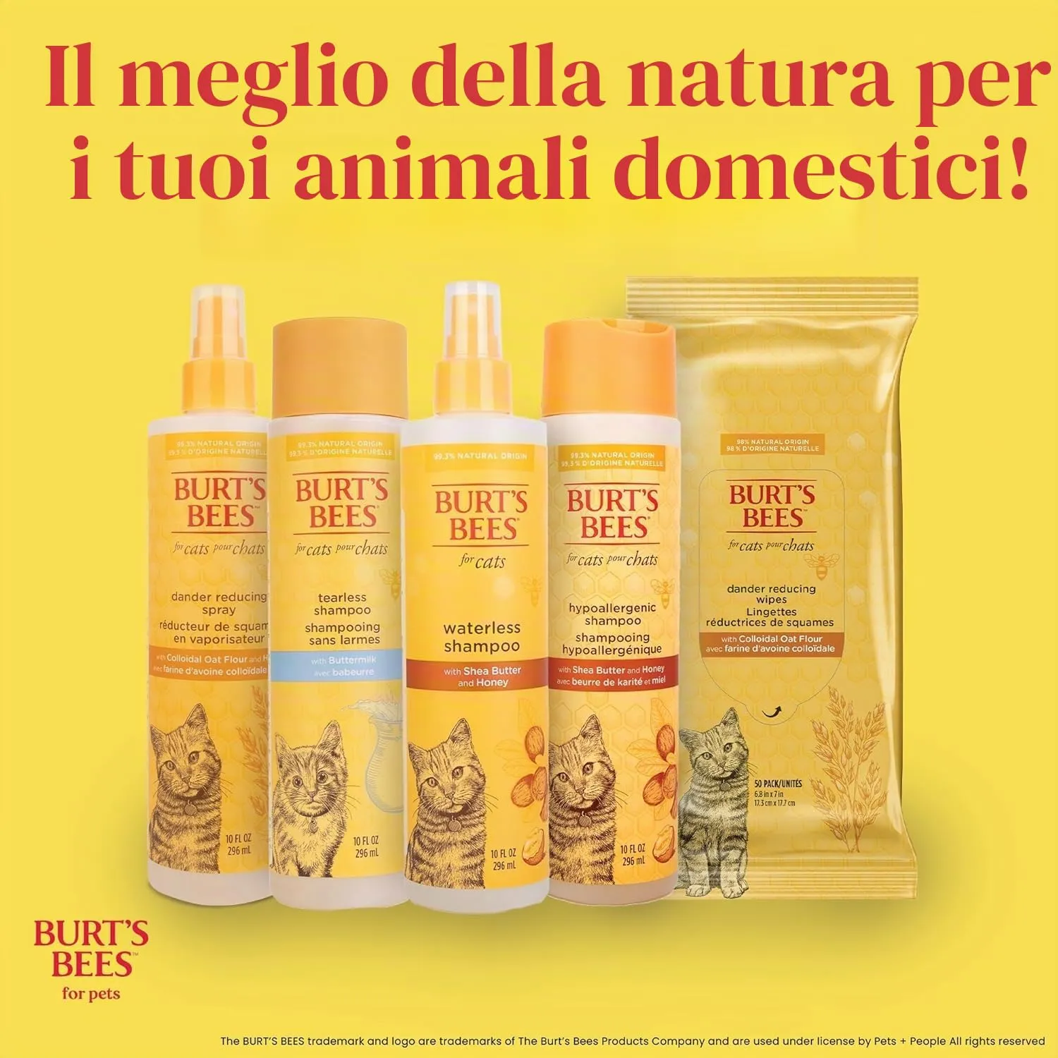 Burt's Bees - Sciampo Hypoallergenic per il burro & il miele del karitè dei gatti - 10 Florida. oncia. - immagine 12