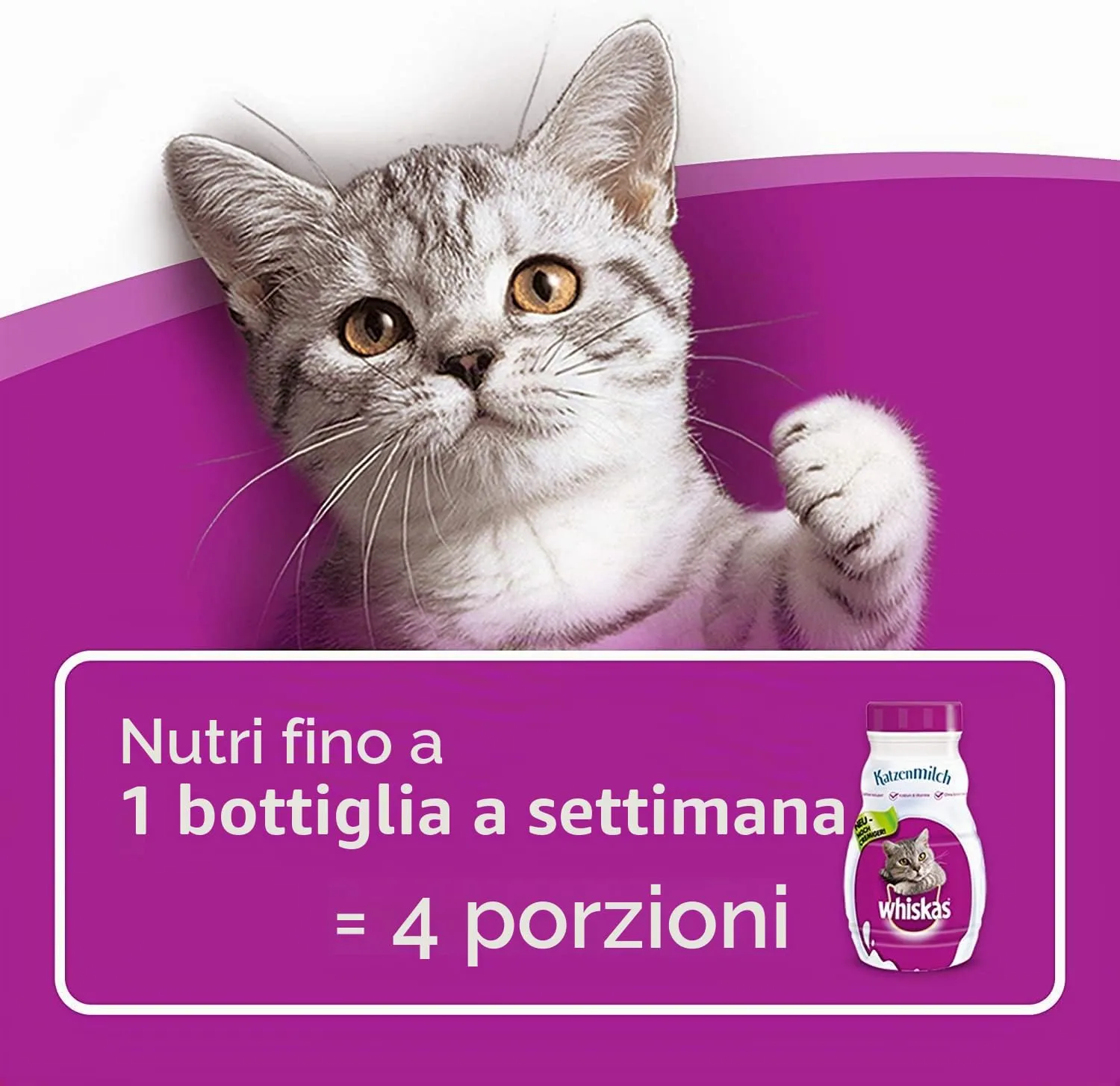 Whiskas Latte per Gatti a Partire da 6 Settimane, 15 Bottiglie, 15 x 200 ml, Delizioso Snack per Un Gatto Felice, Prodotto da lattosio e Facilmente digeribile, 3 l (Confezione da 1) - immagine 5