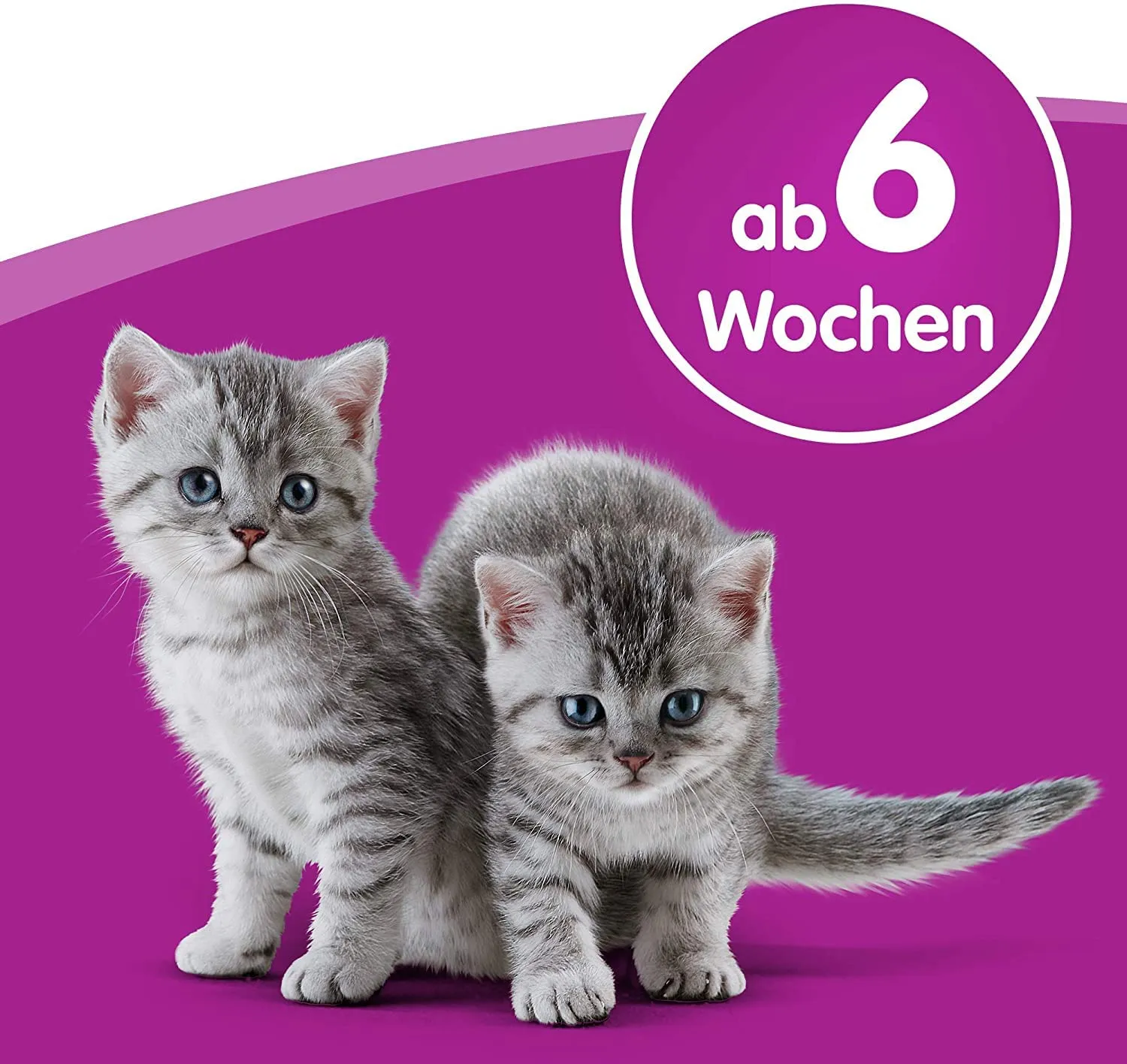Whiskas Latte per Gatti a Partire da 6 Settimane, 15 Bottiglie, 15 x 200 ml, Delizioso Snack per Un Gatto Felice, Prodotto da lattosio e Facilmente digeribile, 3 l (Confezione da 1) - immagine 6