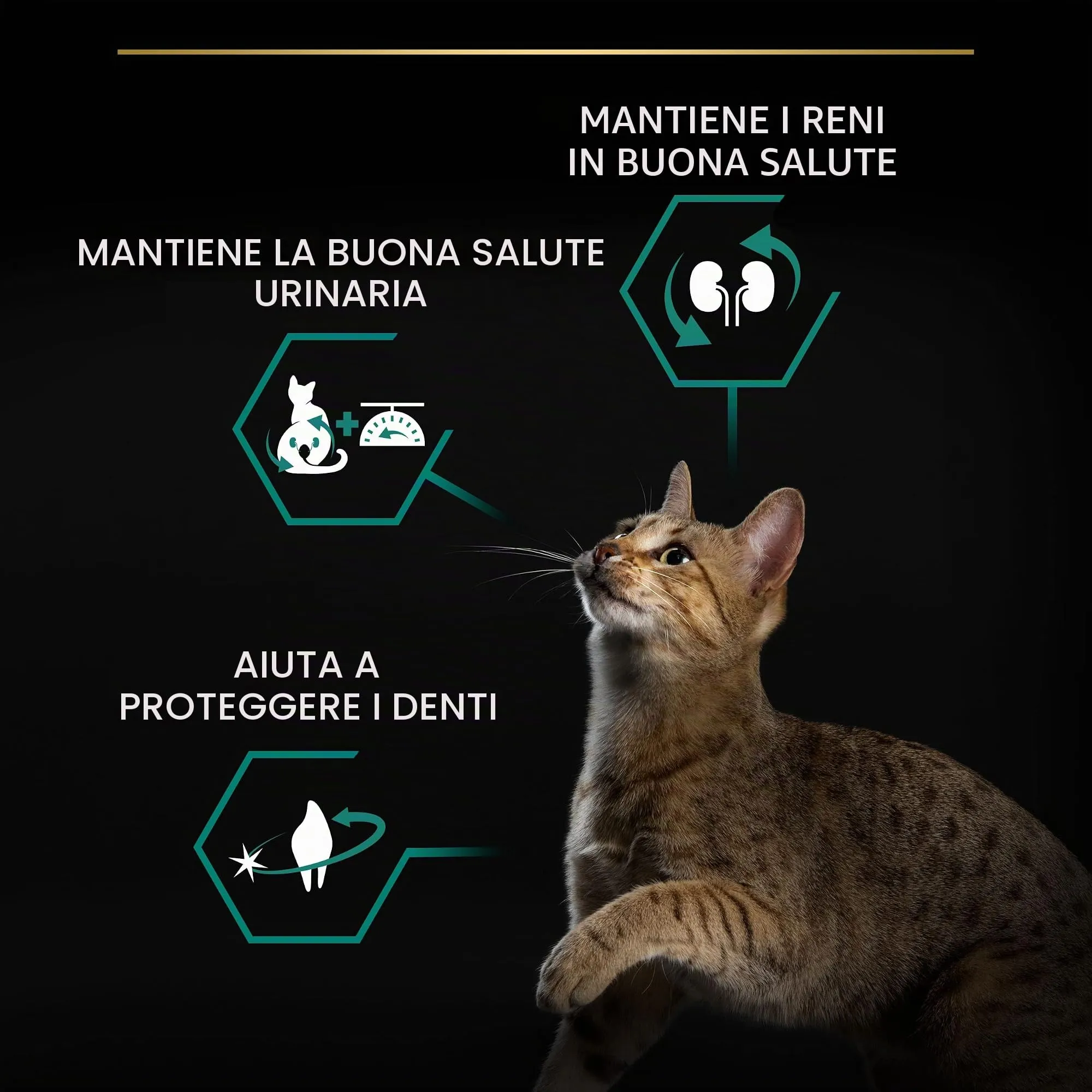 PURINA PRO PLAN Renal Plus, Crocchette Gatti Sterilizzati, Sacco da 3 kg - immagine 6