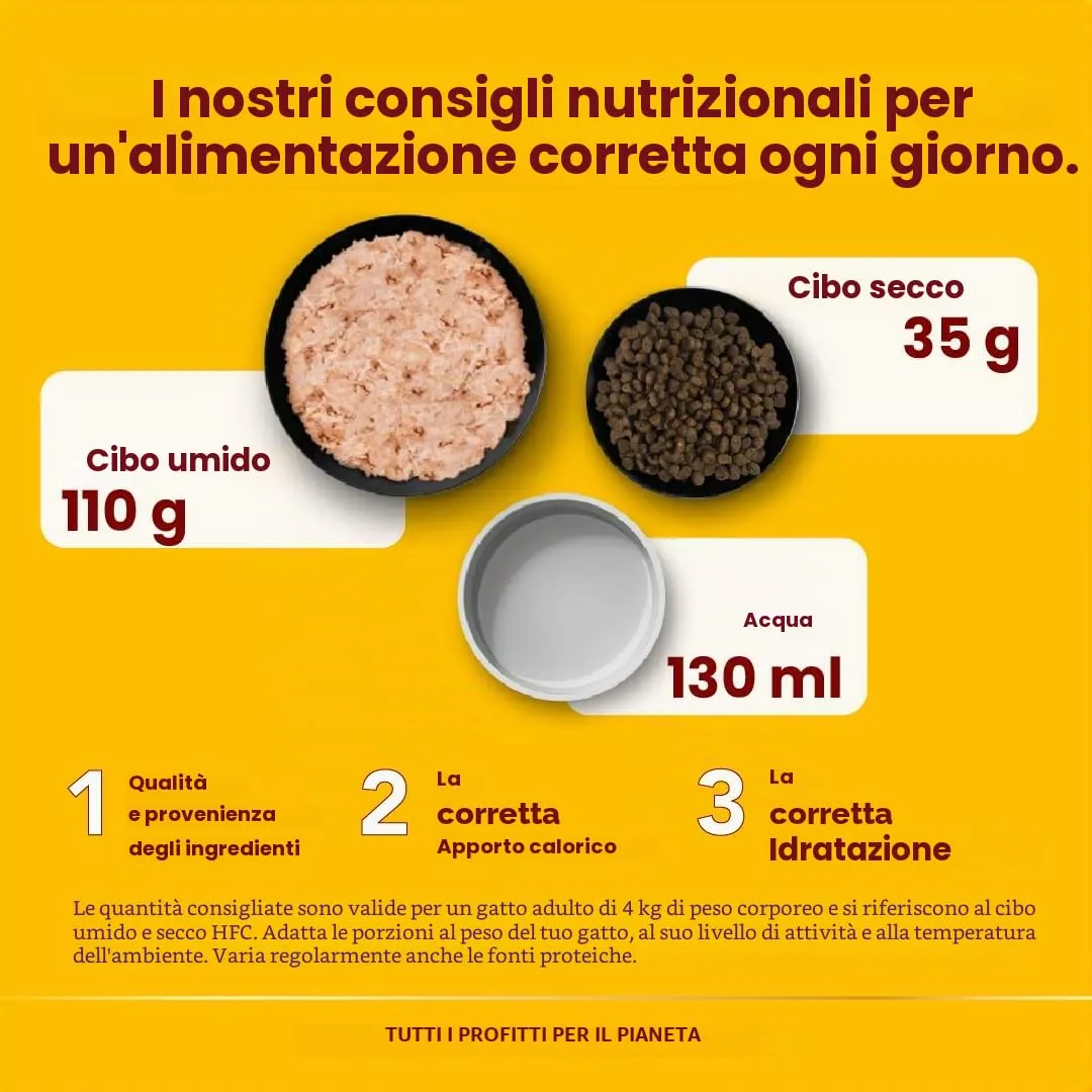 Almo Nature HFC Natural, Alimento Umido per Gatti - Pollo con Salmone - 280g, Confezione da 12 - immagine 4