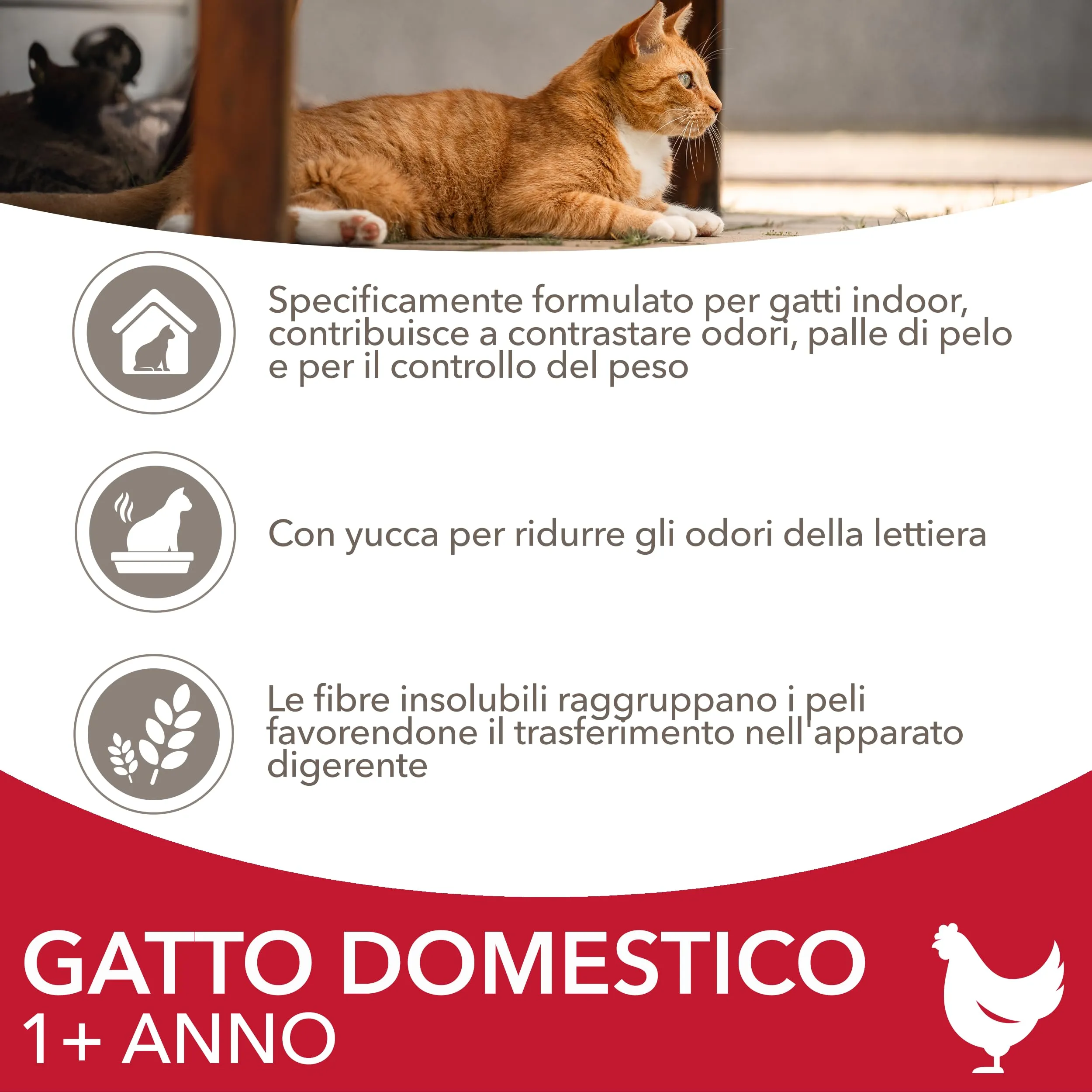 IAMS Indoor - Cibo secco per gatti di casa da 1 anno, 10 kg - immagine 3