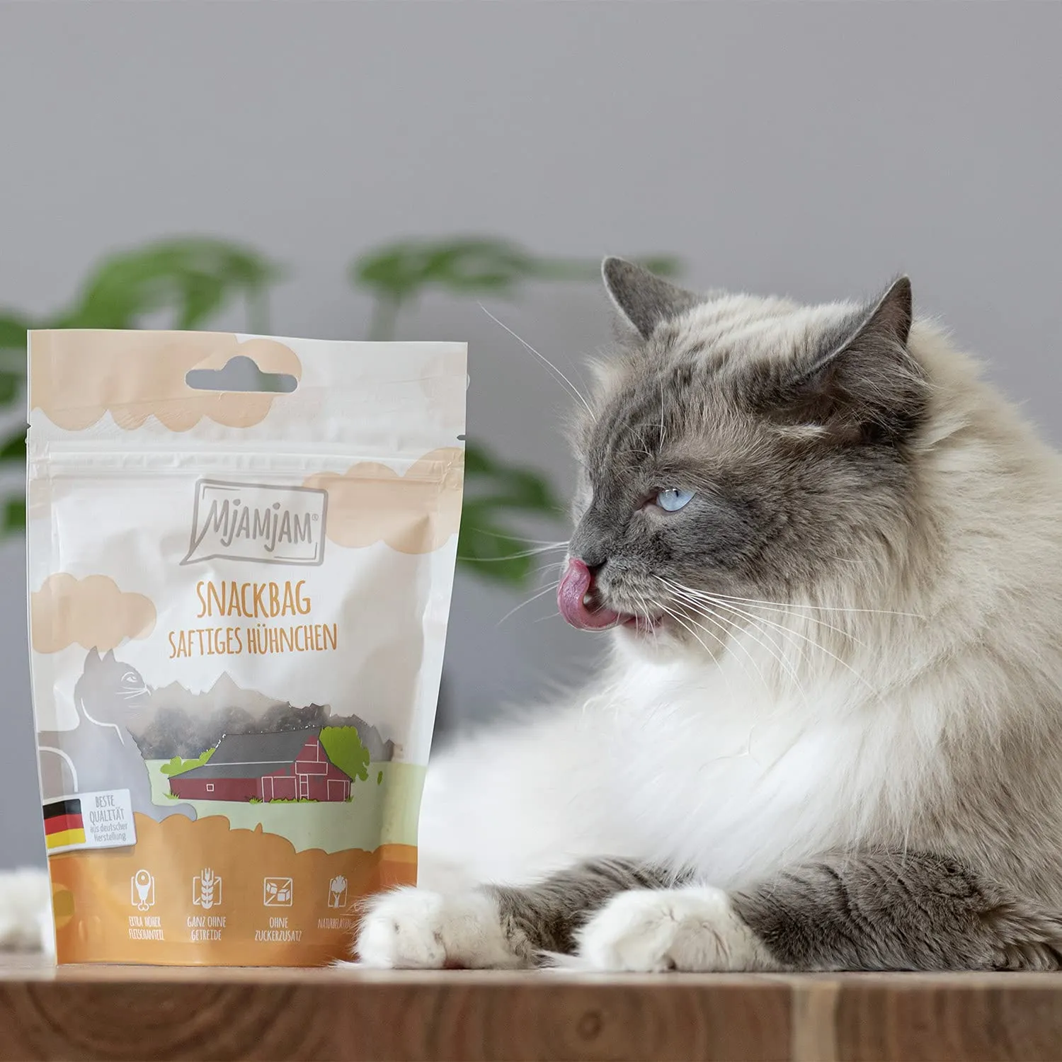 MjAMjAM - snack premium per gatti - snack bag - tenero agnello, confezione da 1 (1 x 125 g), naturale senza conservanti sintetici - immagine 2