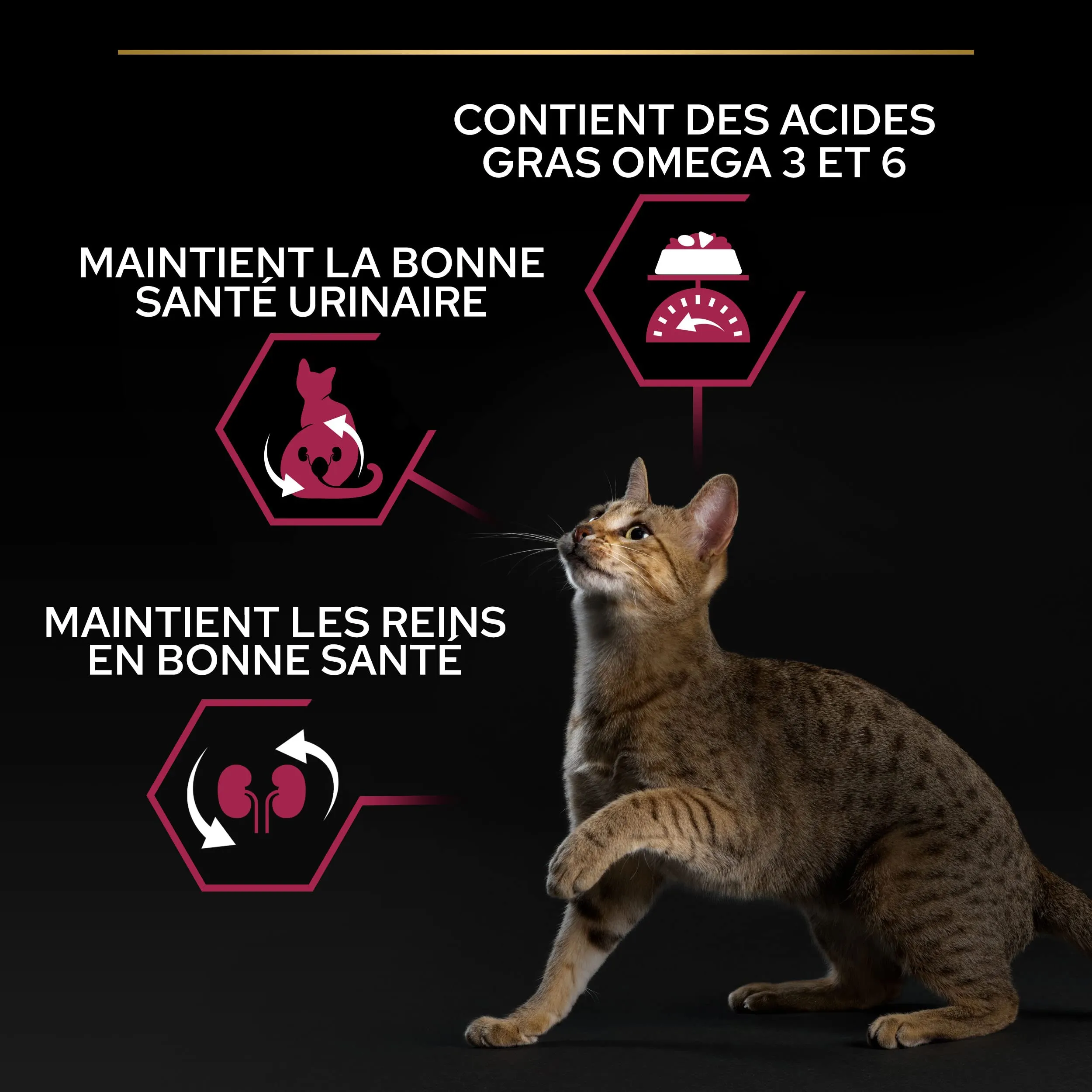 Purina Pro Plan Sterilised Savoury Duo Crocchette Gatto Anatra e Fegato 3kg - immagine 4