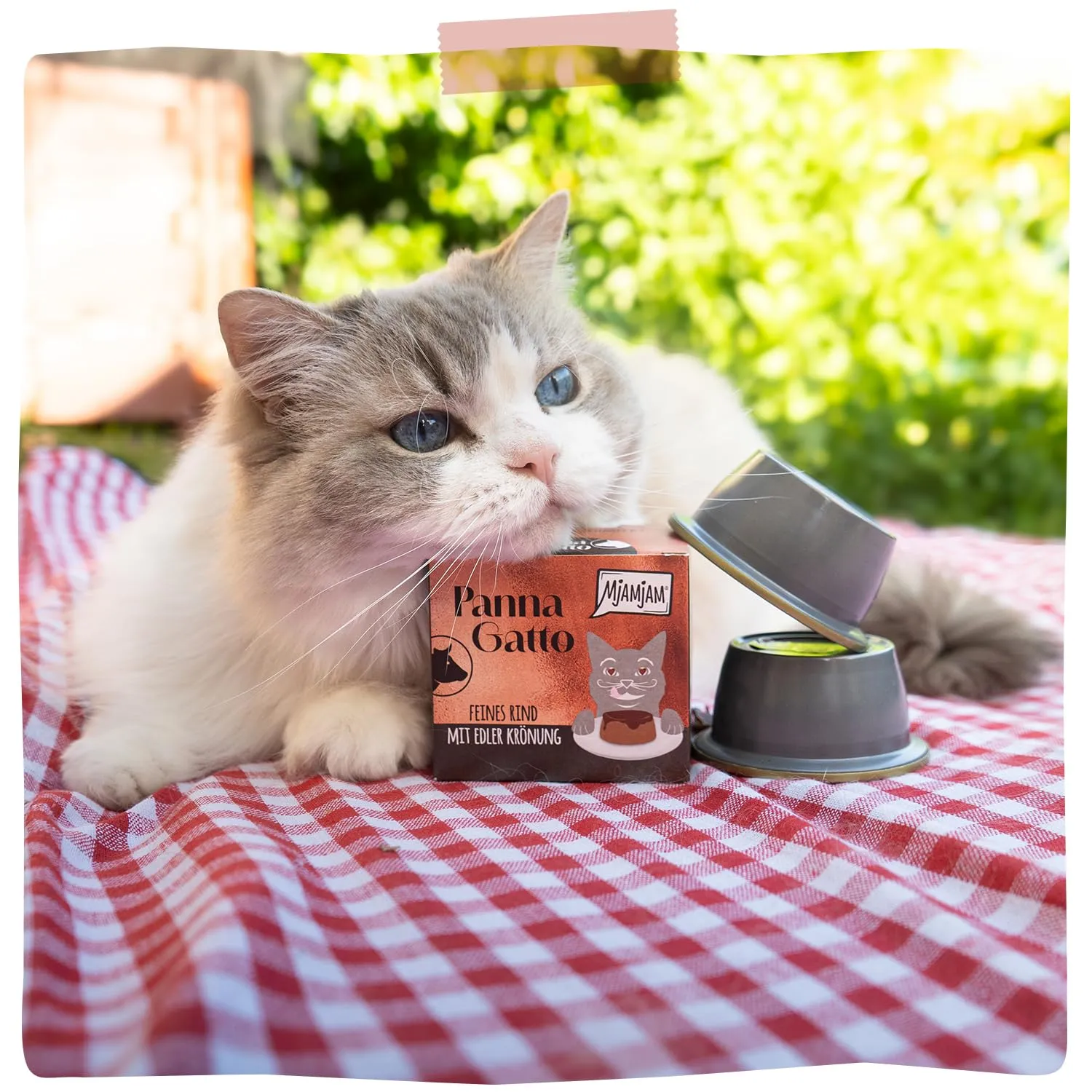 MjAMjAM - Cibo umido premium per gatti - Panna Gatto - Pregiato manzo con raffinata guarnizione, confezione da 1 (2x80g), senza cereali - immagine 6