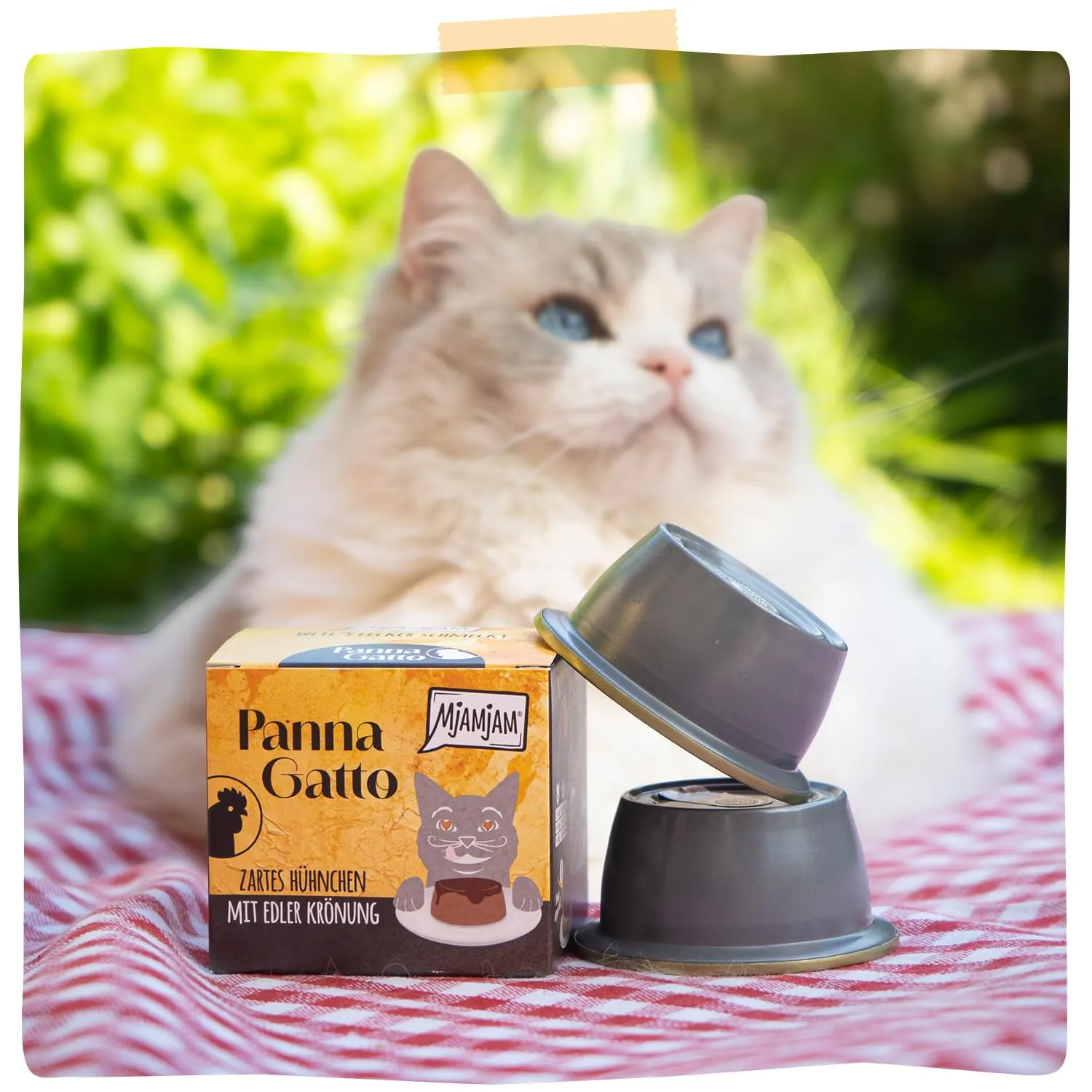 MjAMjAM - Cibo umido Premium per gatti - Panna Gatto - Tenero pollo con raffinata guarnizione, 1 confezione (2x80g), senza cereali - immagine 6