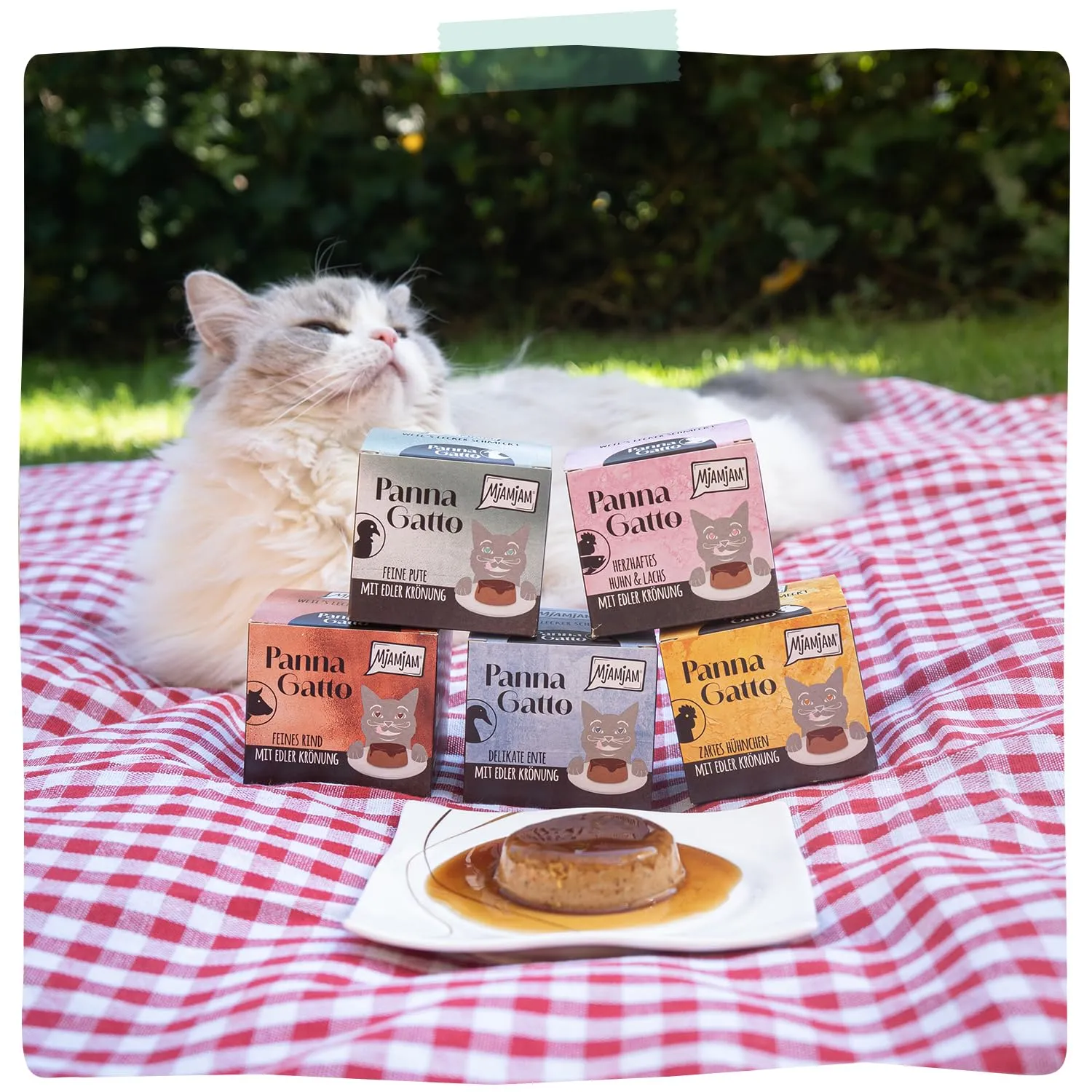 MjAMjAM - Cibo umido Premium per gatti - Panna Gatto - Pregiato tacchino con raffinata guarnizione, 1 confezione (2x80g), senza cereali - immagine 6