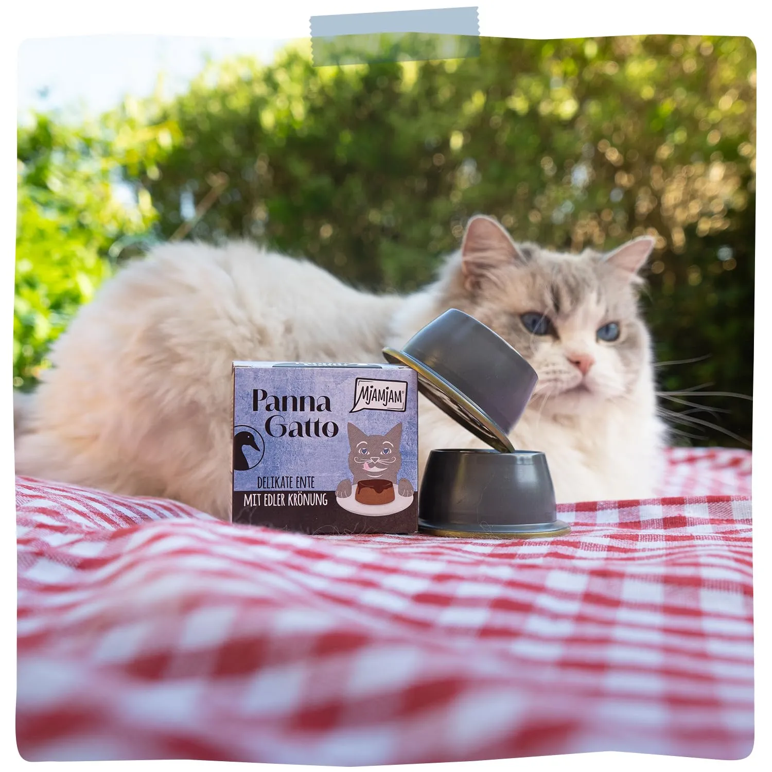 MjAMjAM - Cibo umido Premium per gatti - Panna Gatto - Delicata anatra con raffinata guarnizione, confezione da 1 (2x80g), senza cereali - immagine 6