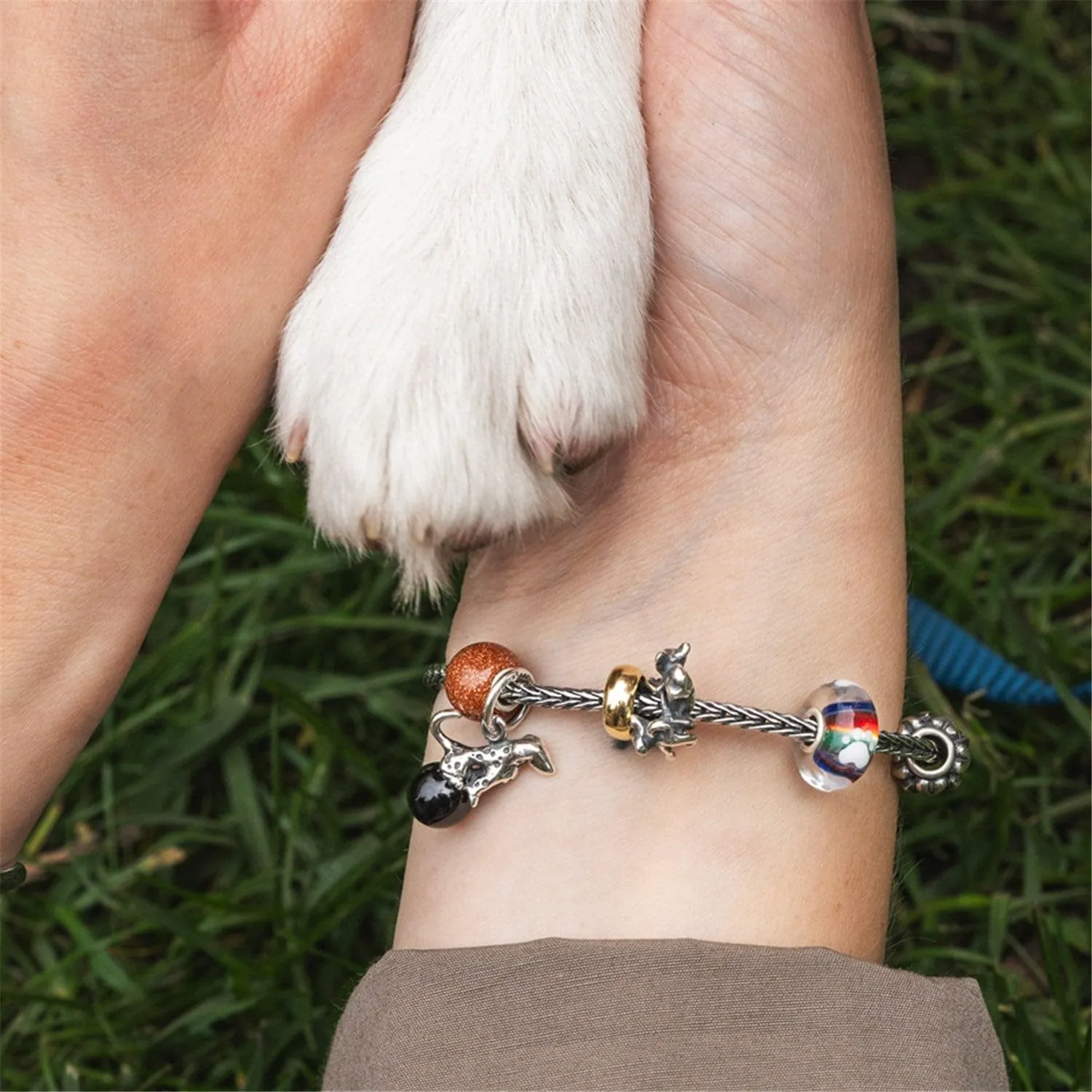 Trollbeads Collezione autunno Pfötchenliebe Glasbeads, misura unica, Vetro, Nessuna pietra preziosa - immagine 4