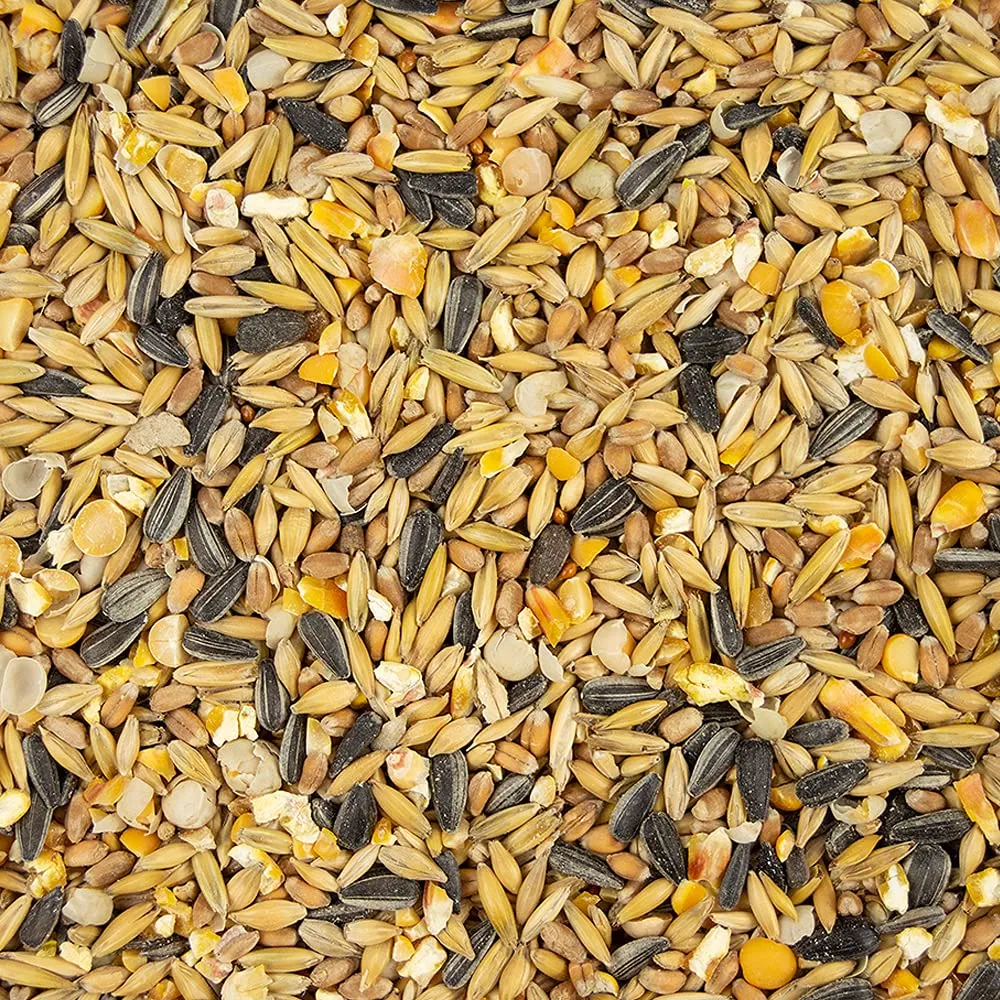 My Little Farm - Anatroccolo biologico, 2 kg, per tutte le stagioni, mineralizzato e vitaminizzato, mangime completo di qualità biologica - immagine 2