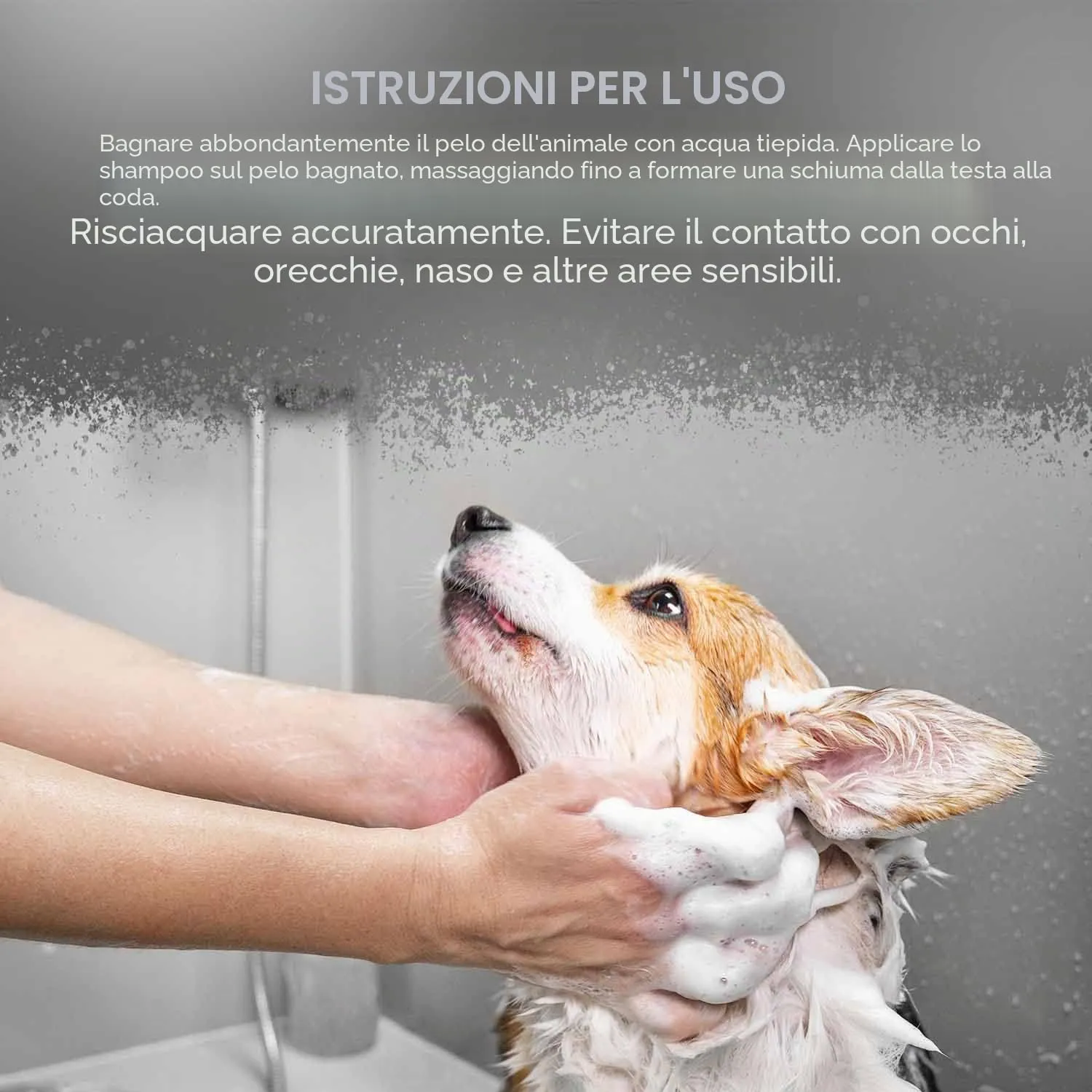 Wahl Oatmeal Essence Shampoo pelli sensibili per cani, concentrato 500 ml - immagine 5