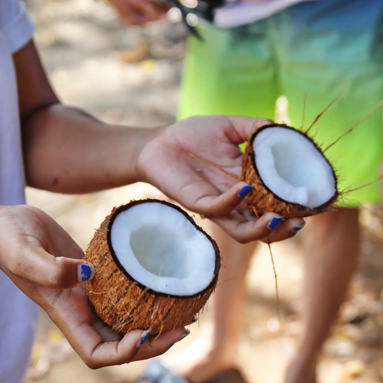 JBL Grotta a base di guscio di noce di cocco, da 1/2 l - immagine 5