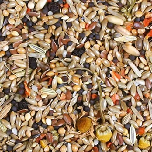 JR FARM Birds - Canarie individuali, 1 kg - immagine 2