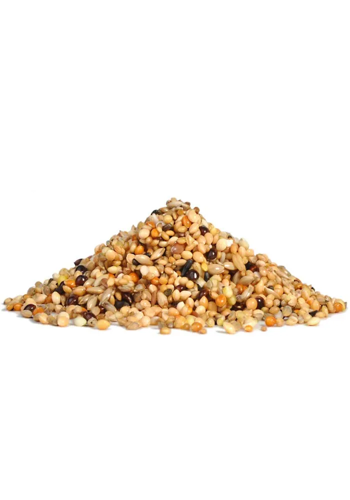 RIO Mangime Completo per Uccelli Esotici | 500 g | Miscela appositamente formulata di semi e cereali selezionati e amati | Per l'alimentazione quotidiana - immagine 4