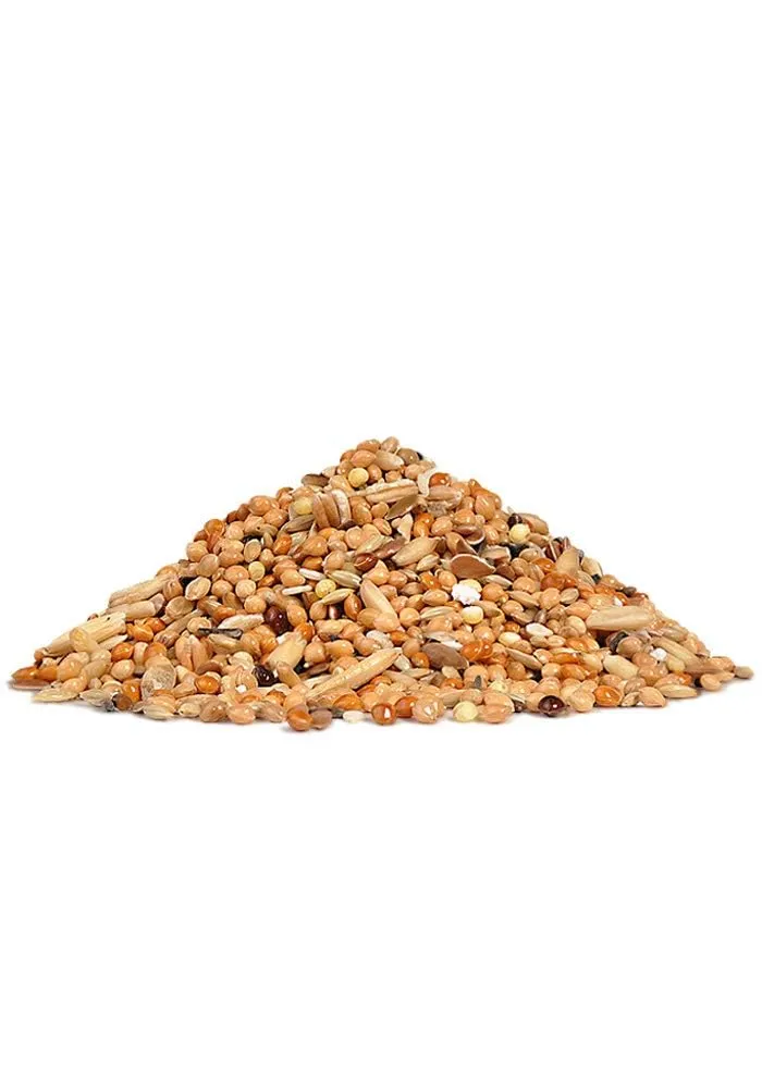 RIO Feed for Budgies. Moulting Period Feed 1000 Gram - immagine 3