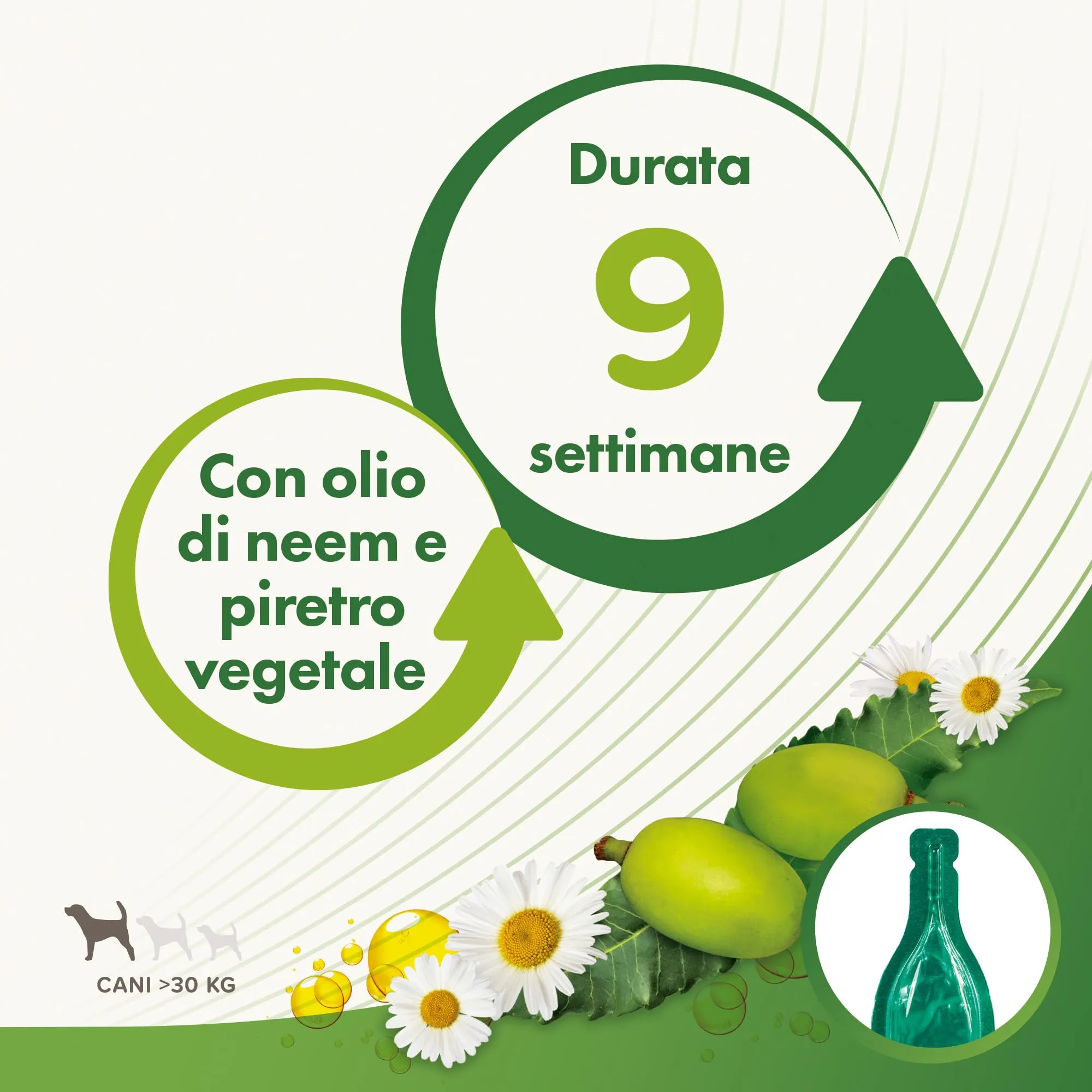 Beaphar Protezione Naturale, Spot-On Scudo per Cane Grande, con Olio di Neem e Piretro Vegetale, 9 Settimane di Protezione, 6 Pipette da 2 ml - immagine 4
