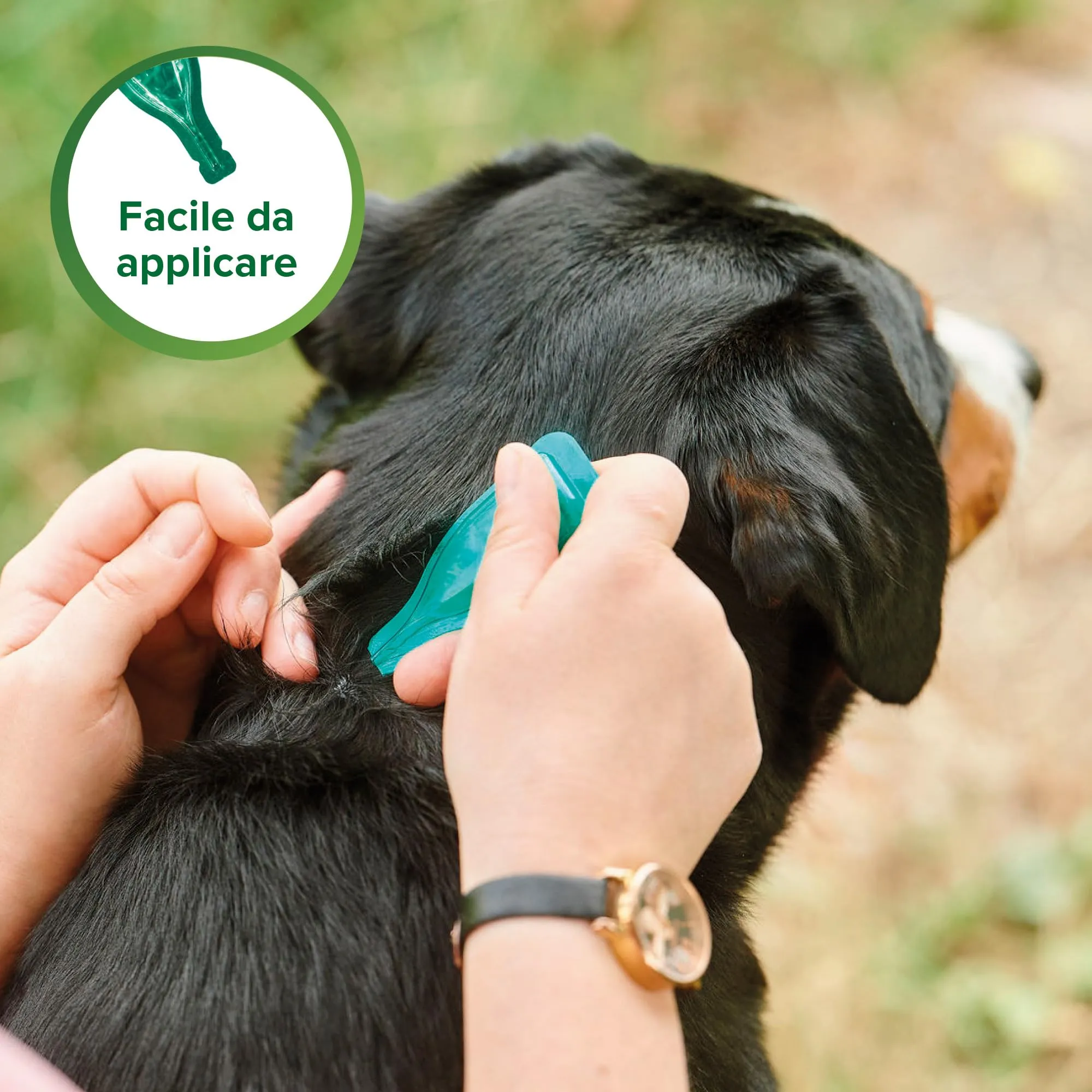 Beaphar Protezione Naturale, Spot-On Scudo per Cane Grande, con Olio di Neem e Piretro Vegetale, 9 Settimane di Protezione, 6 Pipette da 2 ml - immagine 5