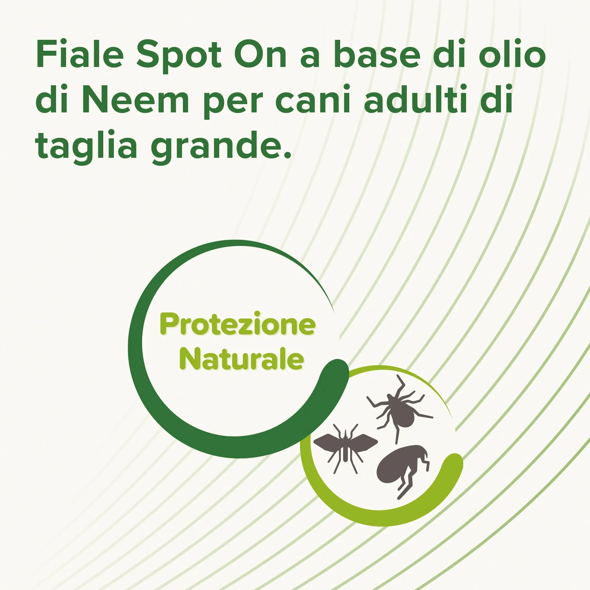 Beaphar Protezione Naturale, Spot-On Scudo per Cane Grande, con Olio di Neem e Piretro Vegetale, 9 Settimane di Protezione, 6 Pipette da 2 ml - immagine 6