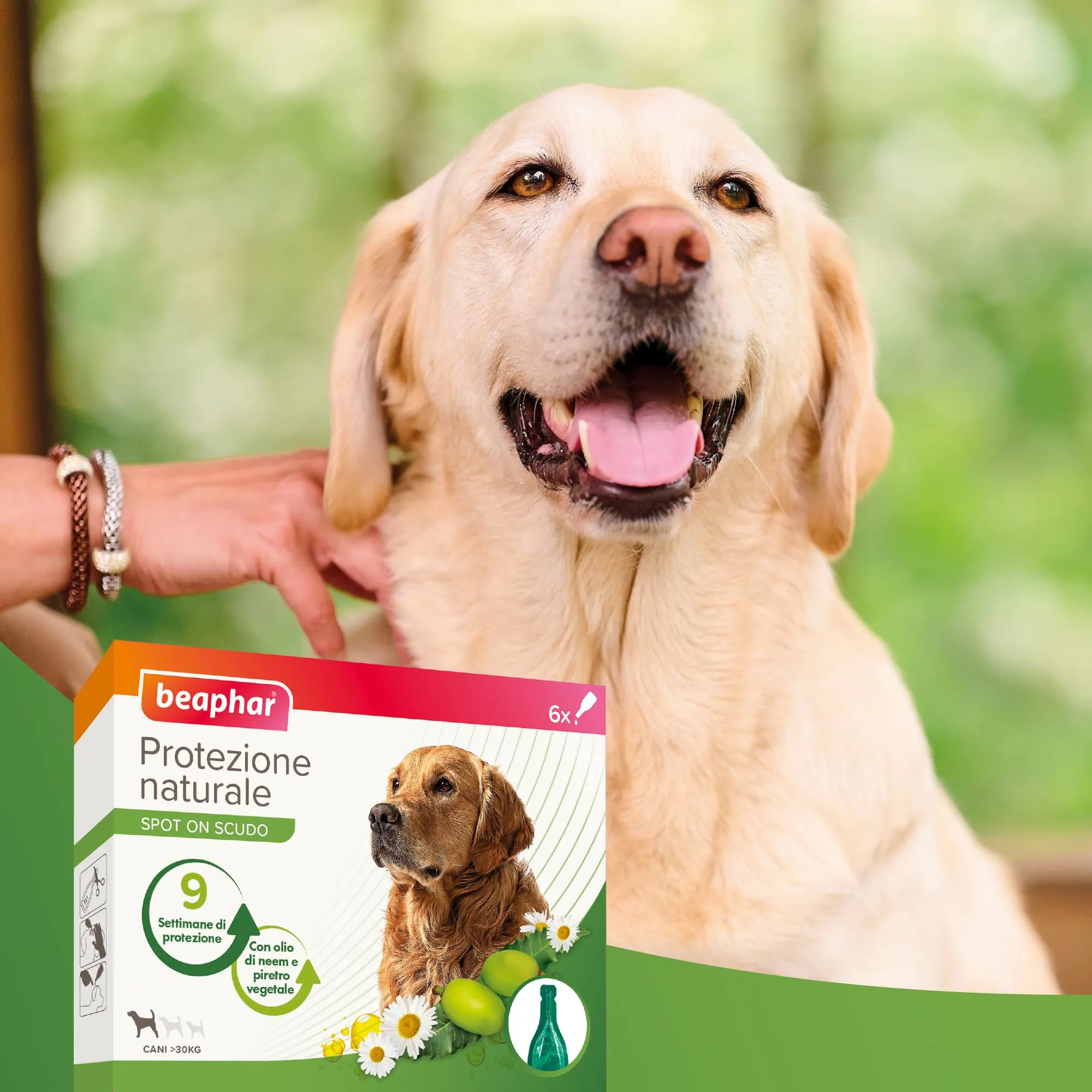 Beaphar Protezione Naturale, Spot-On Scudo per Cane Grande, con Olio di Neem e Piretro Vegetale, 9 Settimane di Protezione, 6 Pipette da 2 ml - immagine 7