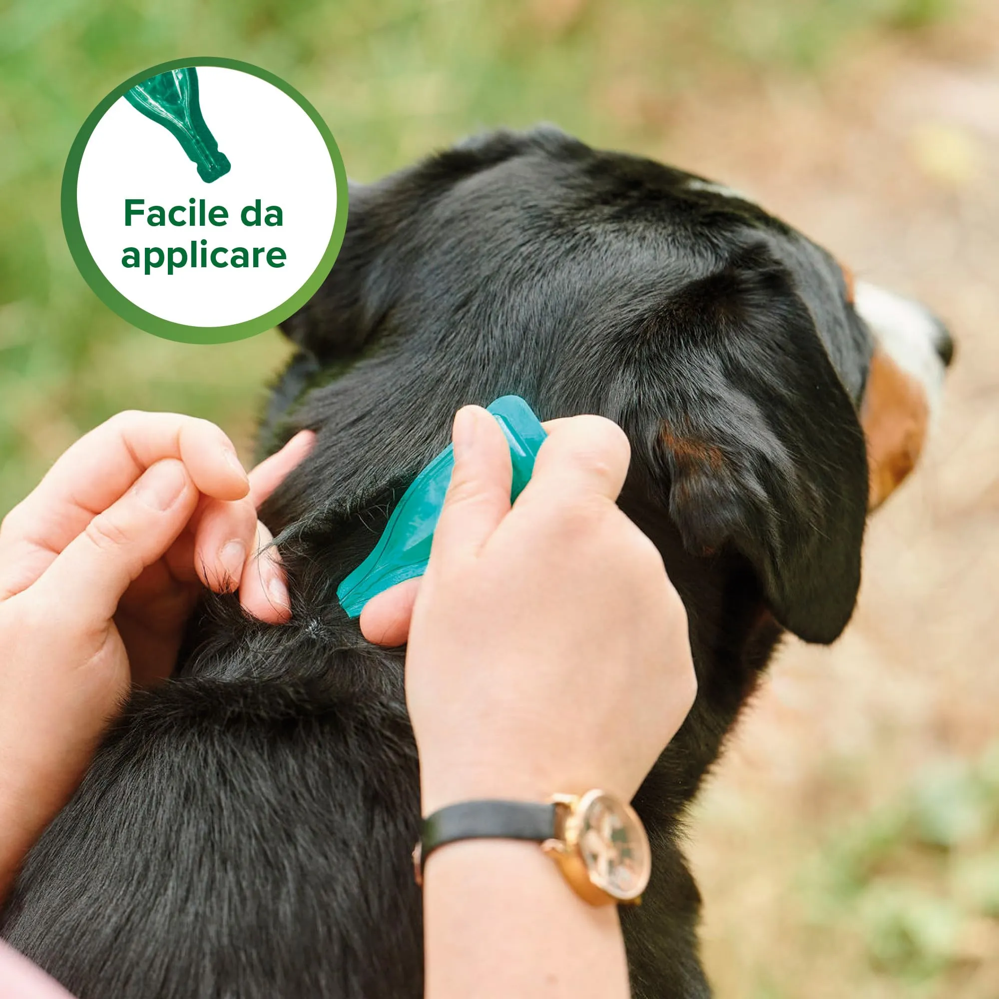 Beaphar Protezione Naturale, Spot-On Scudo per Cane Medio, con Olio di Neem e Piretro Vegetale, 9 Settimane di Protezione, 3 Pipette da 2 ml - immagine 5
