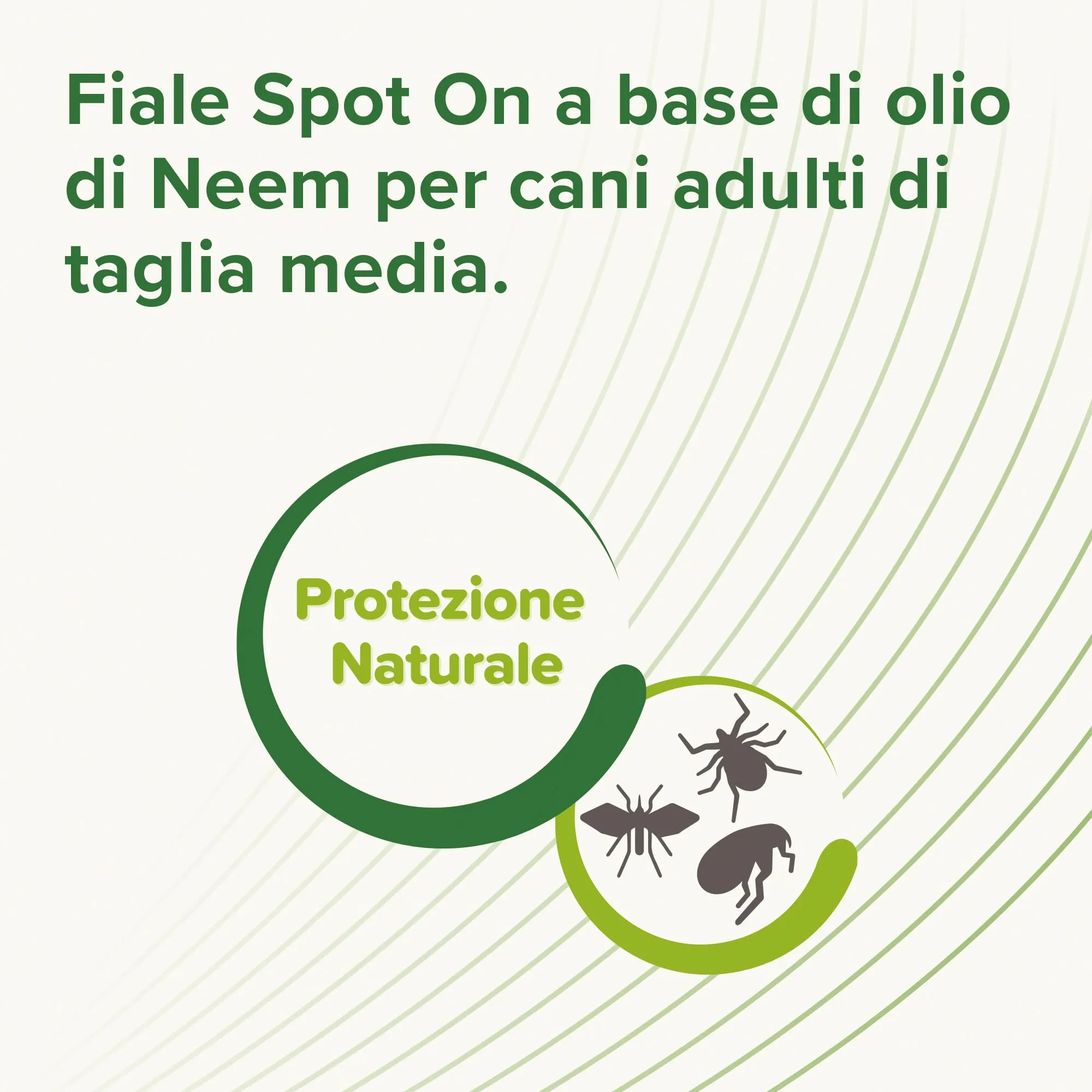Beaphar Protezione Naturale, Spot-On Scudo per Cane Medio, con Olio di Neem e Piretro Vegetale, 9 Settimane di Protezione, 3 Pipette da 2 ml - immagine 6
