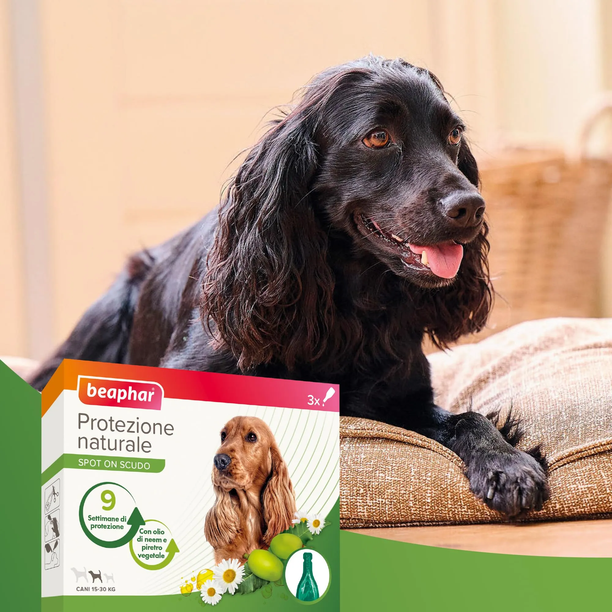 Beaphar Protezione Naturale, Spot-On Scudo per Cane Medio, con Olio di Neem e Piretro Vegetale, 9 Settimane di Protezione, 3 Pipette da 2 ml - immagine 7