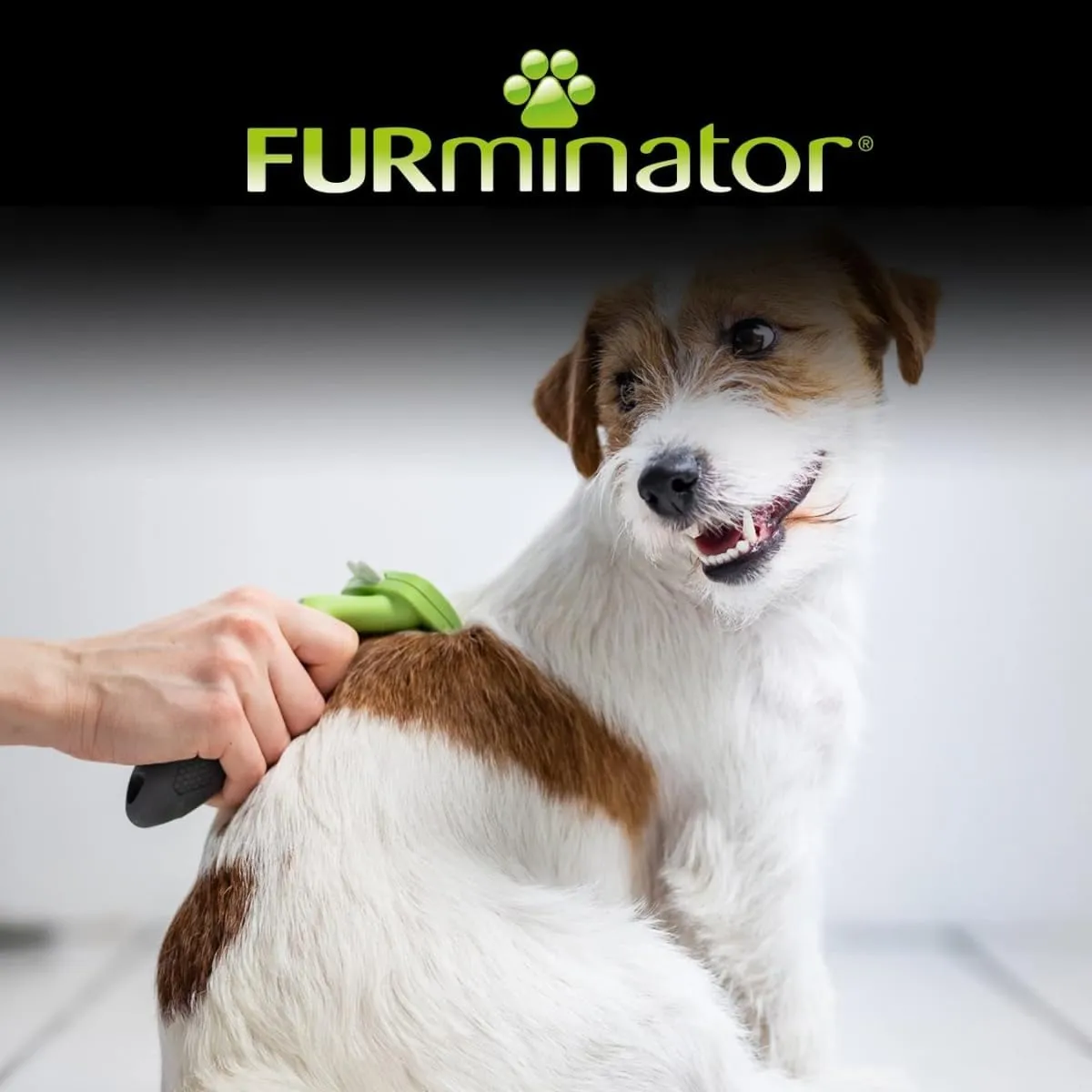 FURminator deShedding Tool S - Spazzola per cani piccoli, pelo corto - immagine 7