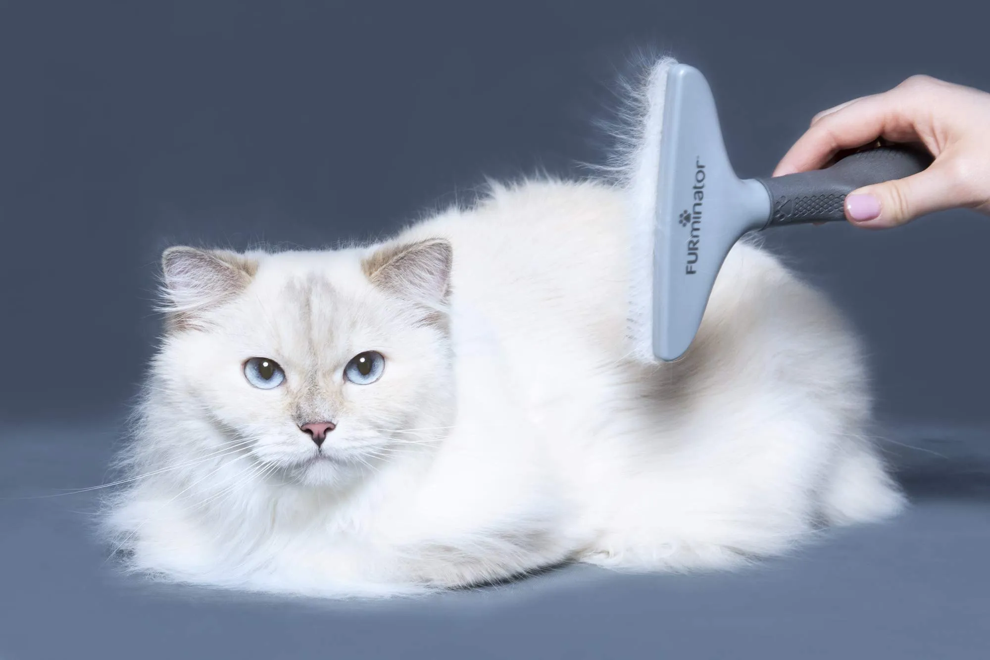 FURminator Grooming Rake - Pettine a rastrello per cani e gatti - immagine 6