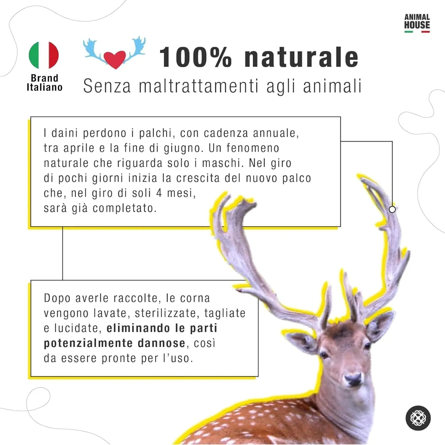 Animal House Corna di Daino per Cani, XL - immagine 2