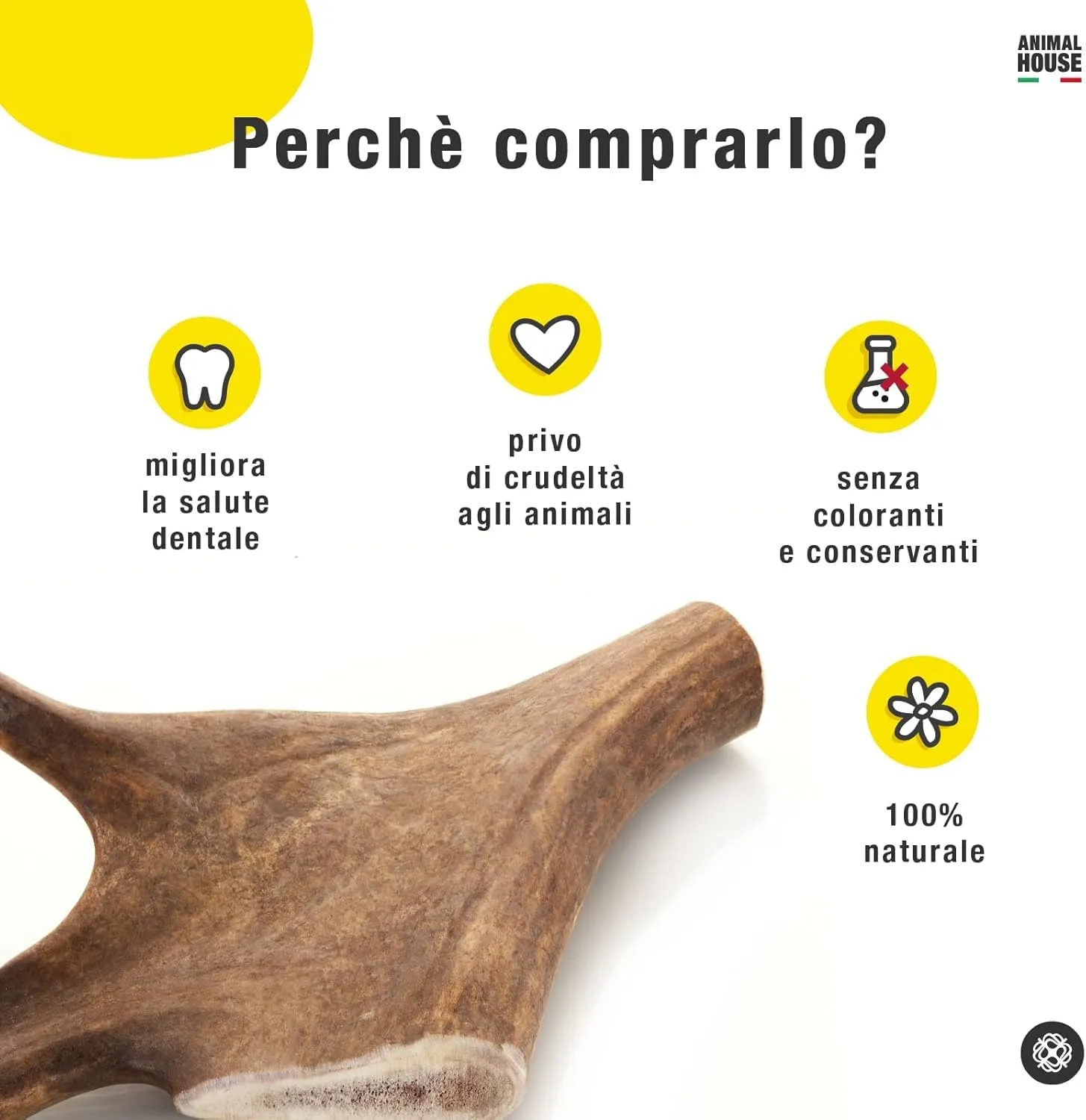 Animal House Corna di Daino per Cani, M - immagine 4