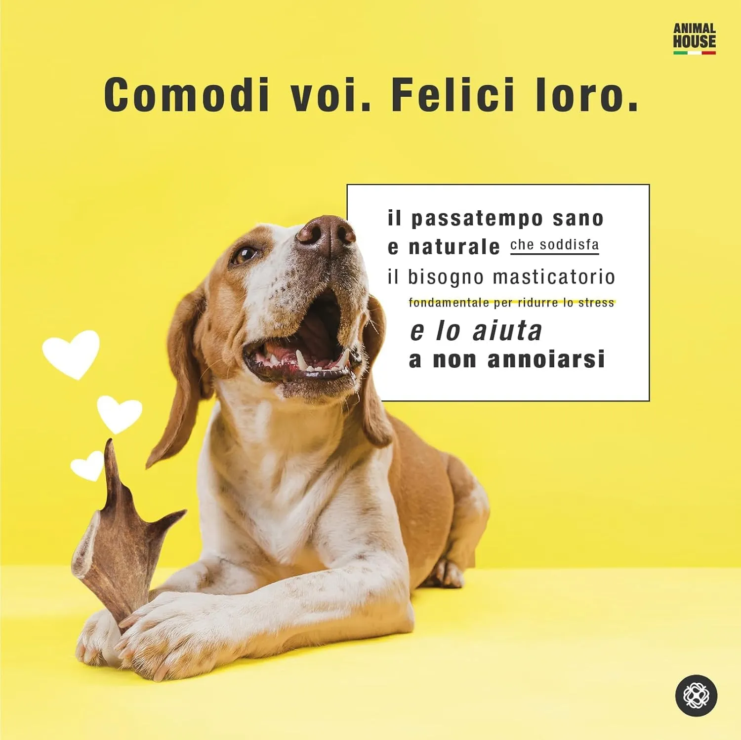 Animal House Corna di Daino per Cani, M - immagine 5