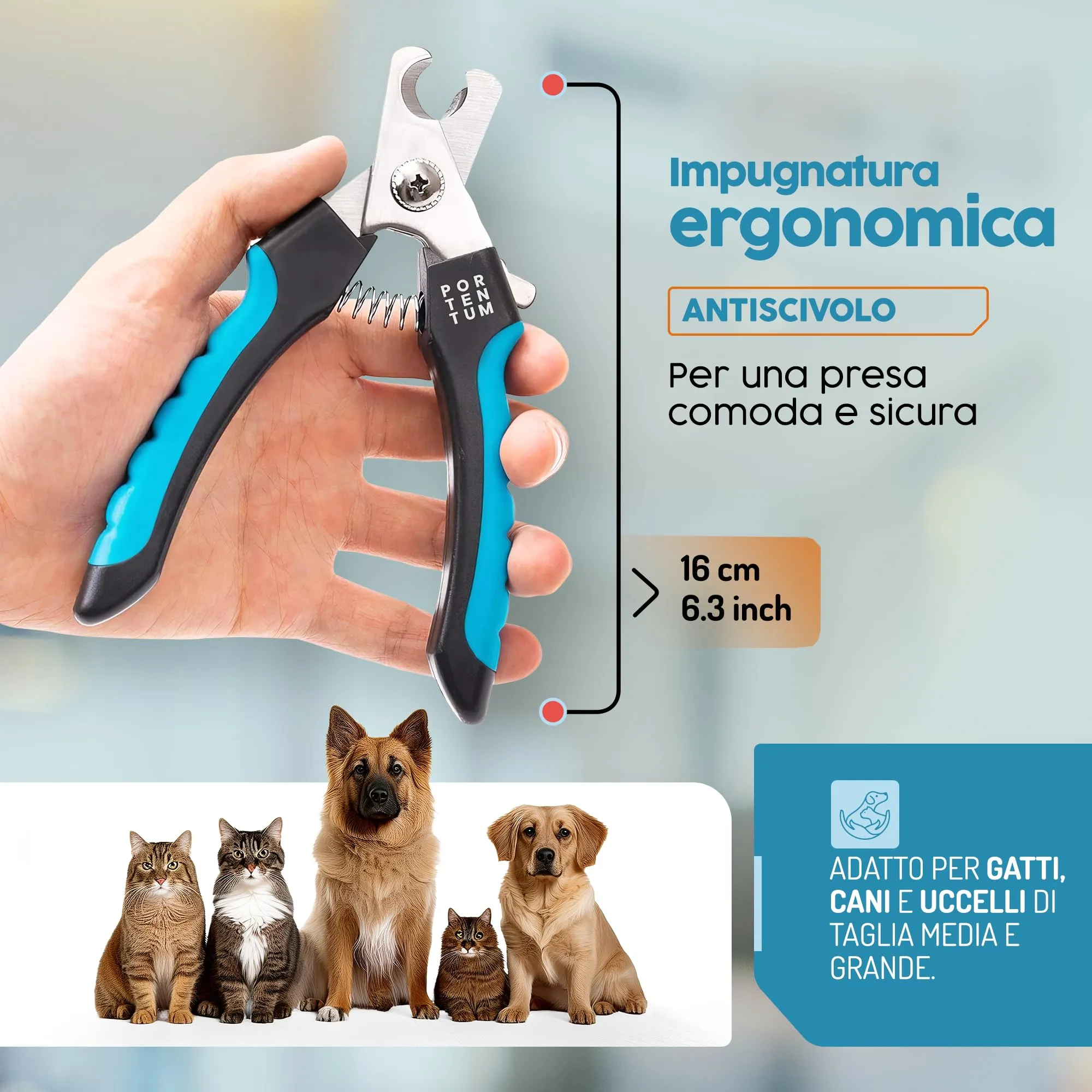 PORTENTUM Tagliaunghie per cane - Tagliaunghie per gatto - Con Protezione di Sicurezza - Acciaio Inossidabile - Adatto anche per uso professionale - immagine 5