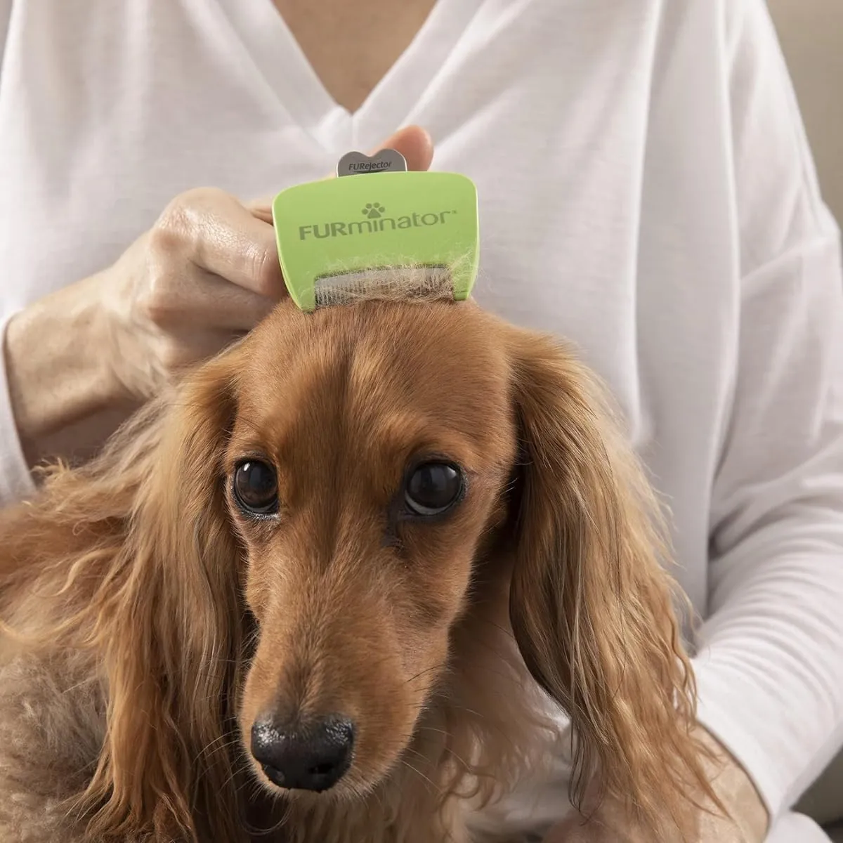FURminator deShedding Tool S - Spazzola per cani piccoli, pelo lungo - immagine 7