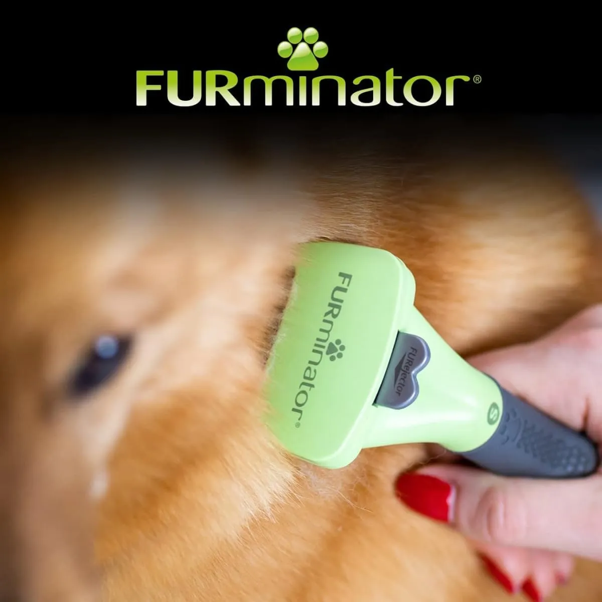 FURminator deShedding Tool S - Spazzola per cani piccoli, pelo lungo - immagine 8