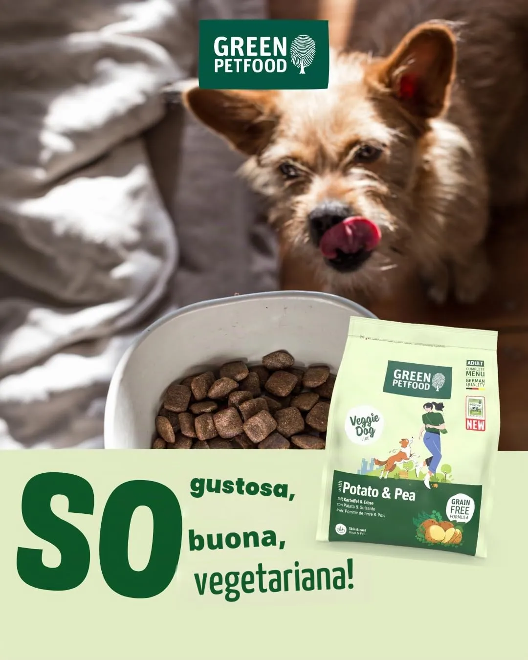 Green Petfood VeggieDog con patata e pisello (1 x 10 kg), per adulti, cibo secco di alta qualità per cani sensibili adulti, vegetariani e senza frumento, con deliziosa pasta di patata dolce - immagine 5