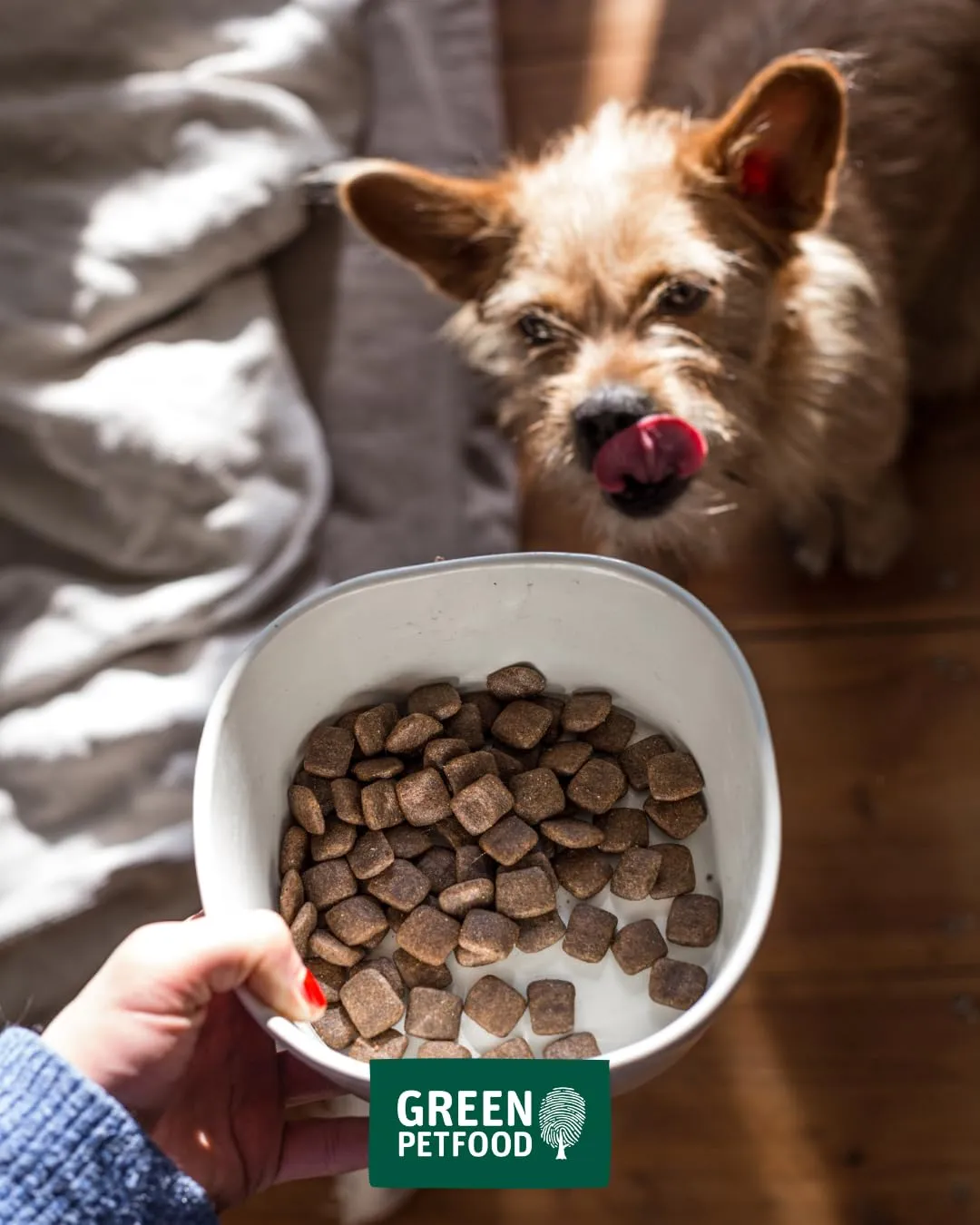 Green Petfood VeggieDog con patata e pisello (1 x 10 kg), per adulti, cibo secco di alta qualità per cani sensibili adulti, vegetariani e senza frumento, con deliziosa pasta di patata dolce - immagine 9